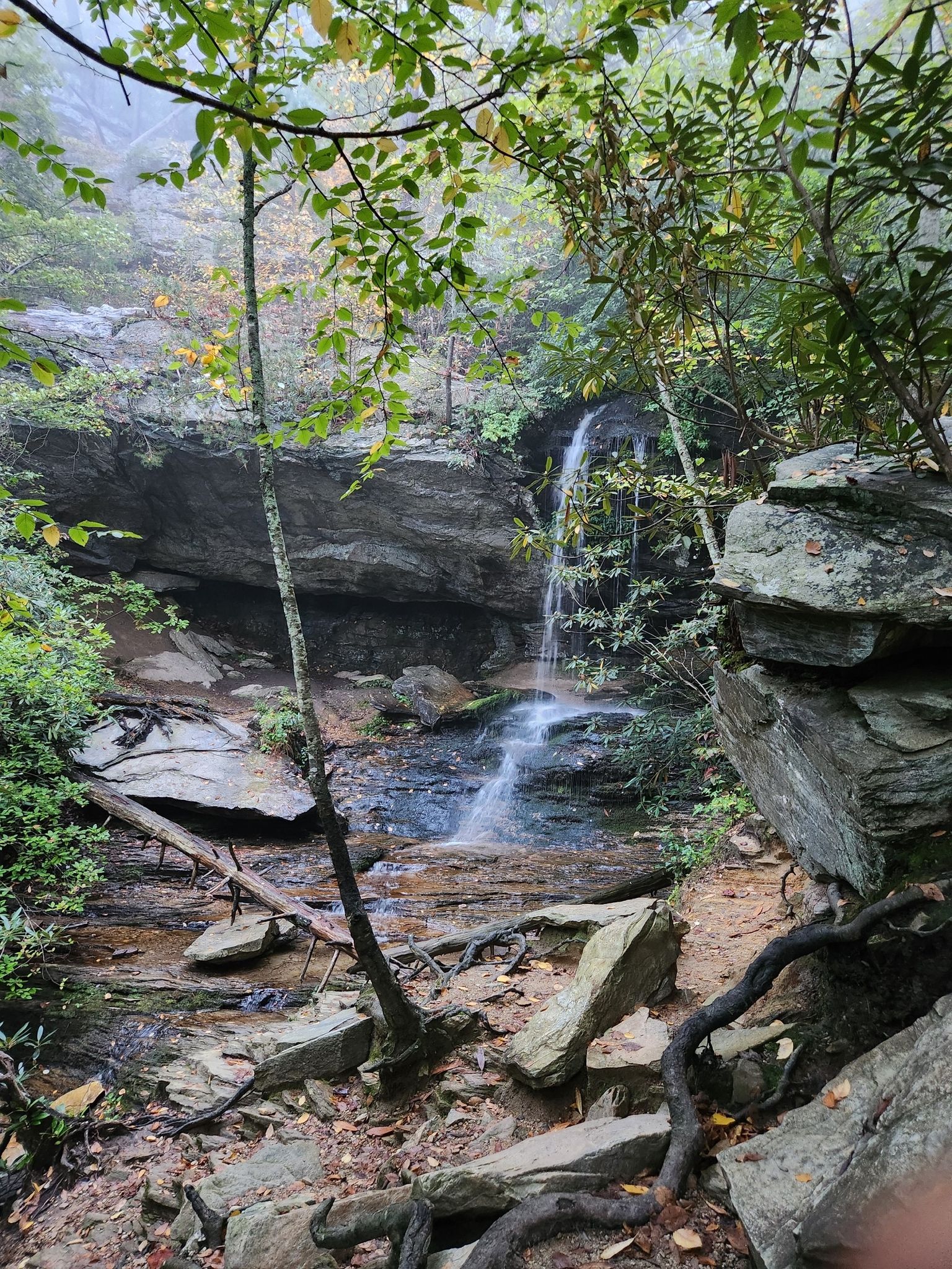 Small waterfall cascading over rocks into a stream in a misty forest. - Indian Creek Trail