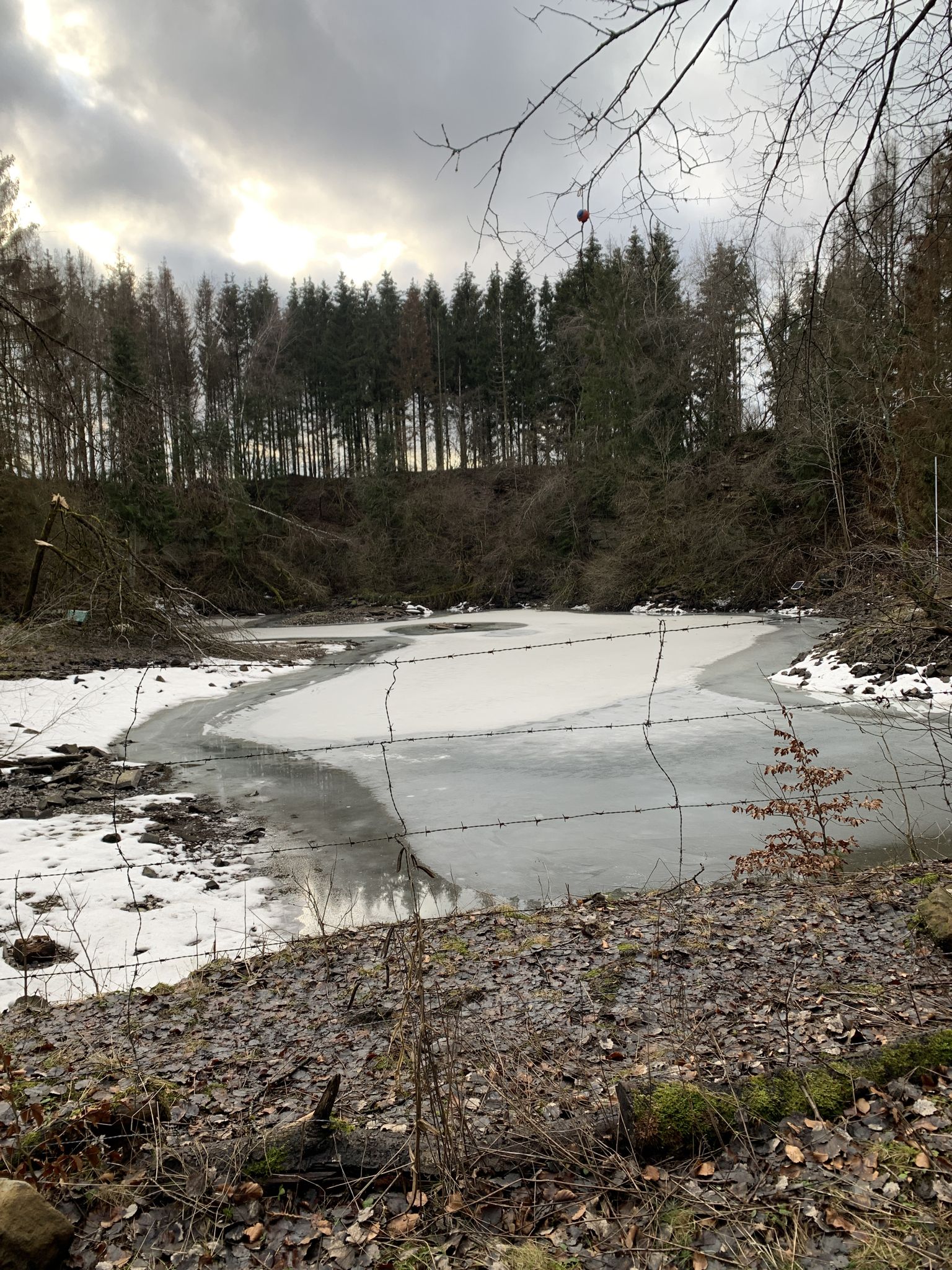 Angelweiher/alter Steinbruch Hölzenhausen 