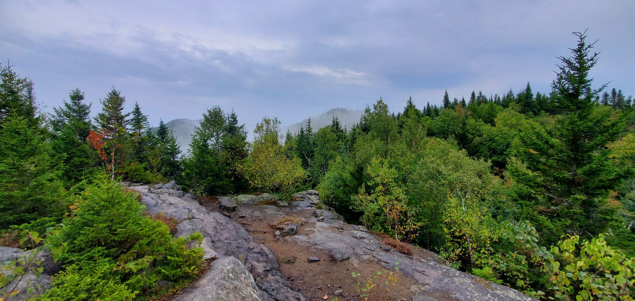 Rocky path leading into a dense green forest with misty mountains beyond. - Jay Mountain Trail