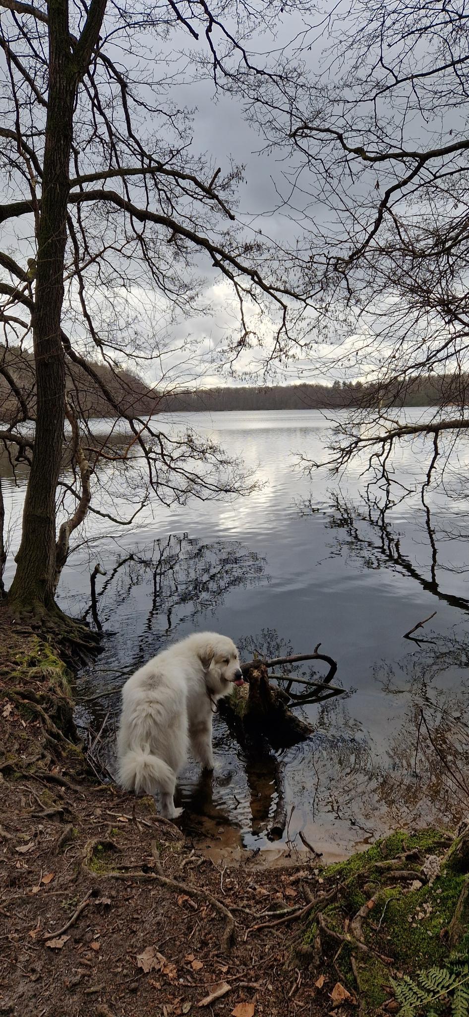 Schierensee. Alte Koppel Runde Von Wankendorf | Wanderung | Komoot