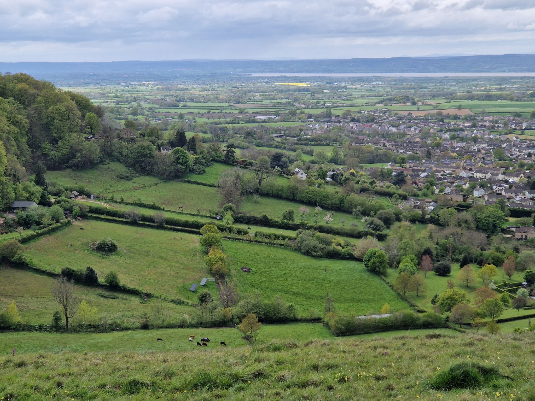 View over King's Stanley from Selsley Common