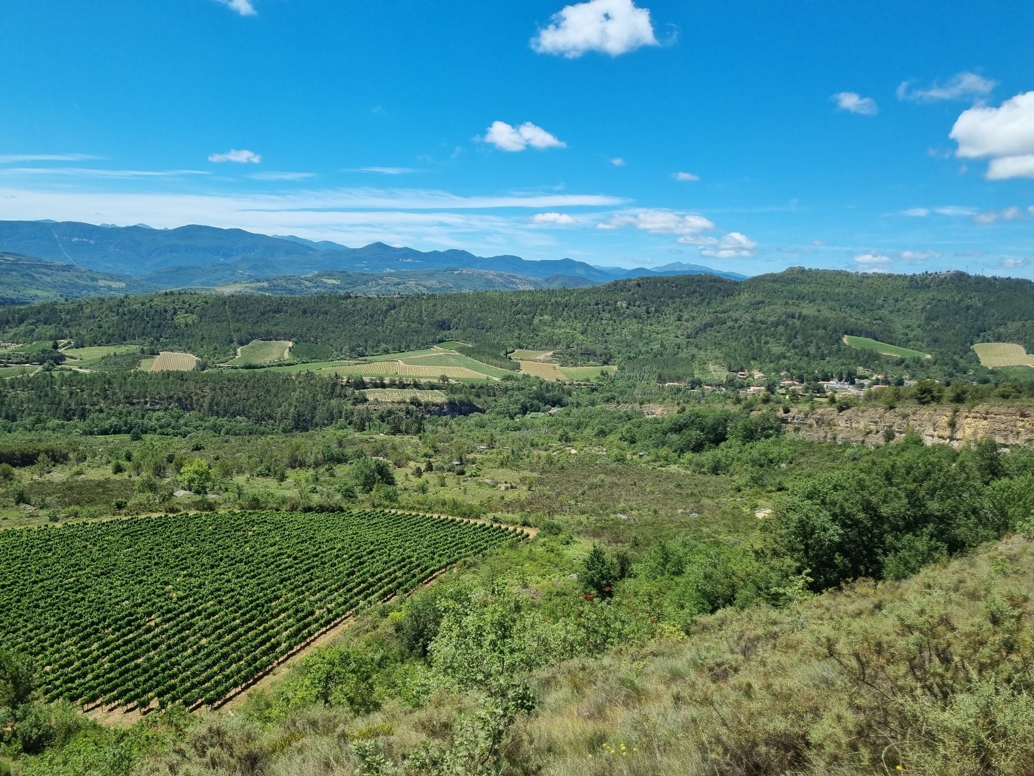 view