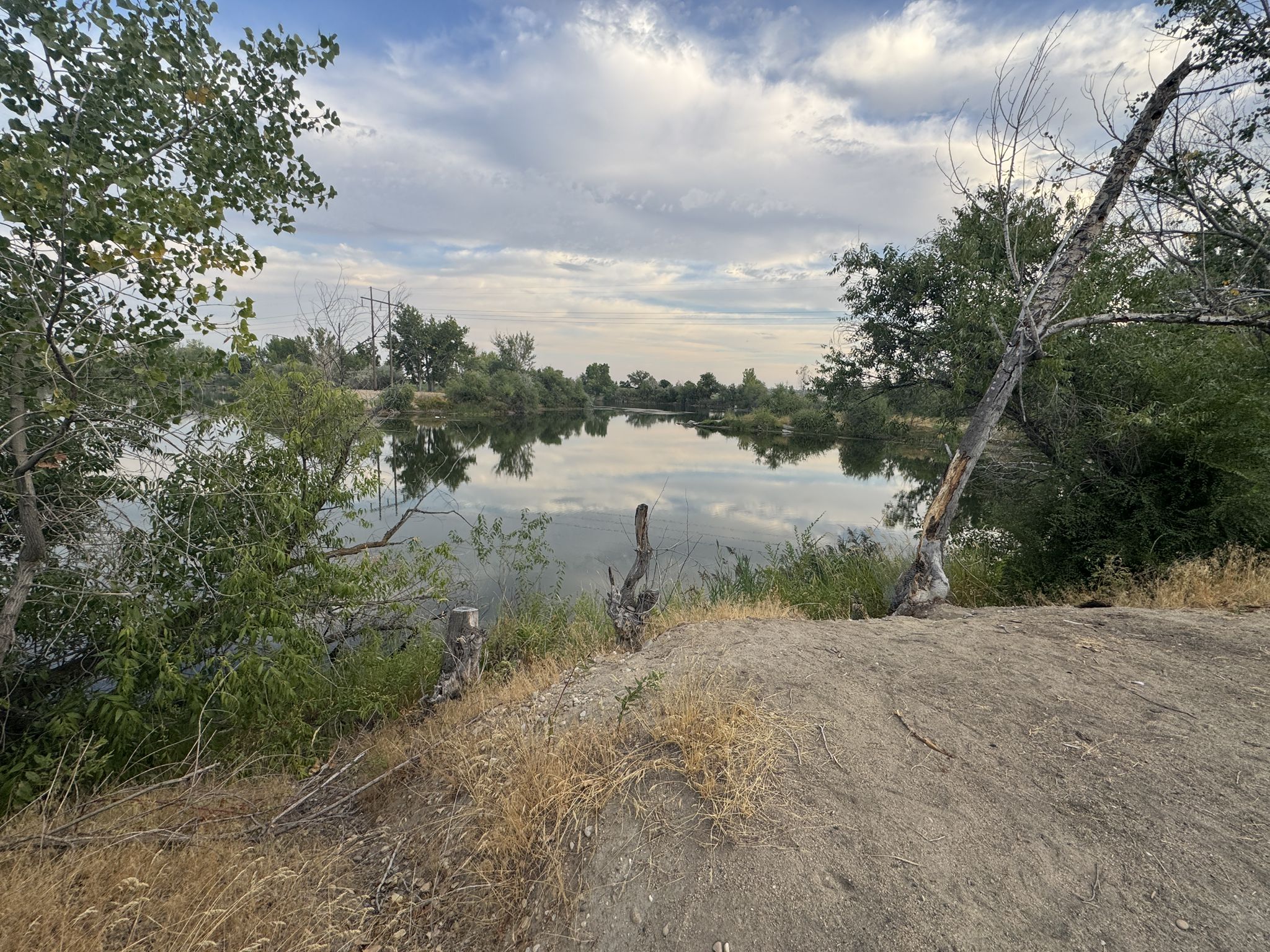 Overcast sky over a calm lake surrounded by green trees and dry brush. - Rotary Pond Park Loop