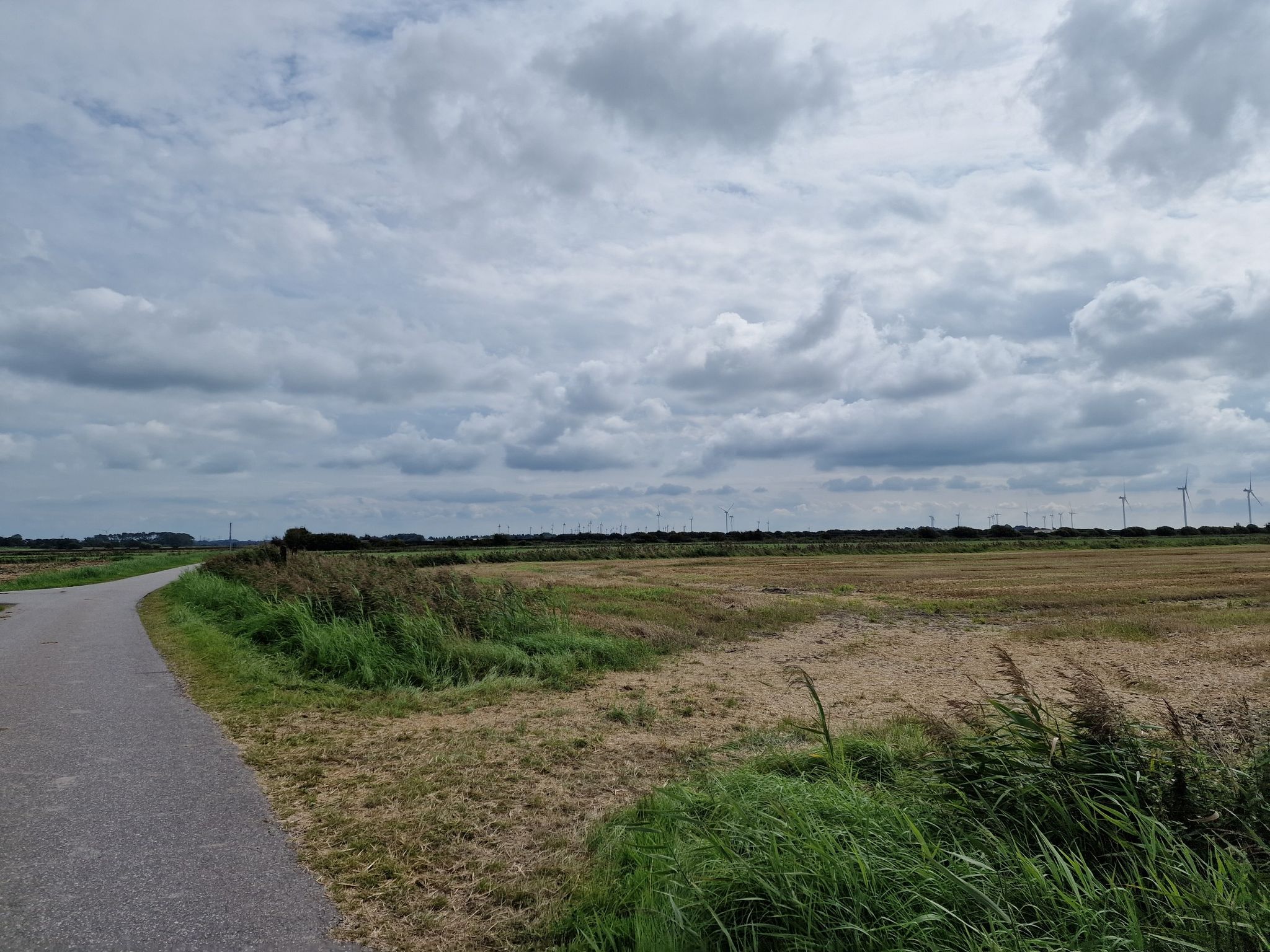 Und noch mehr Windmühlen