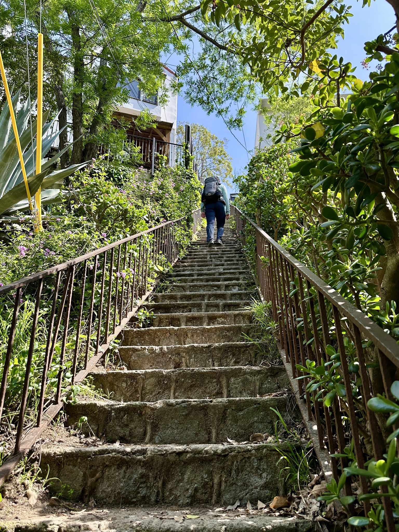 Person with backpack ascending a sunny outdoor stone staircase surrounded by greenery. - Beachwood Canyon Stairs