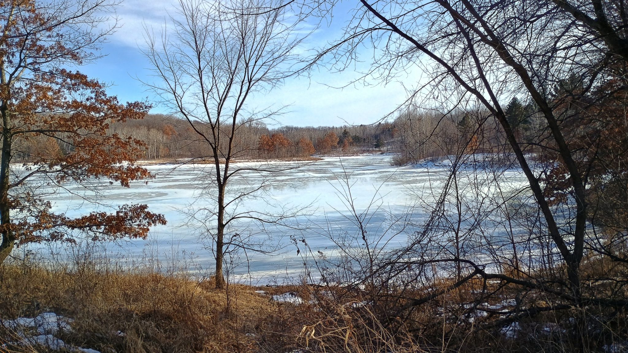Frozen lake framed by bare trees and brown grass under a bright sky. - Wheaton Pond loop