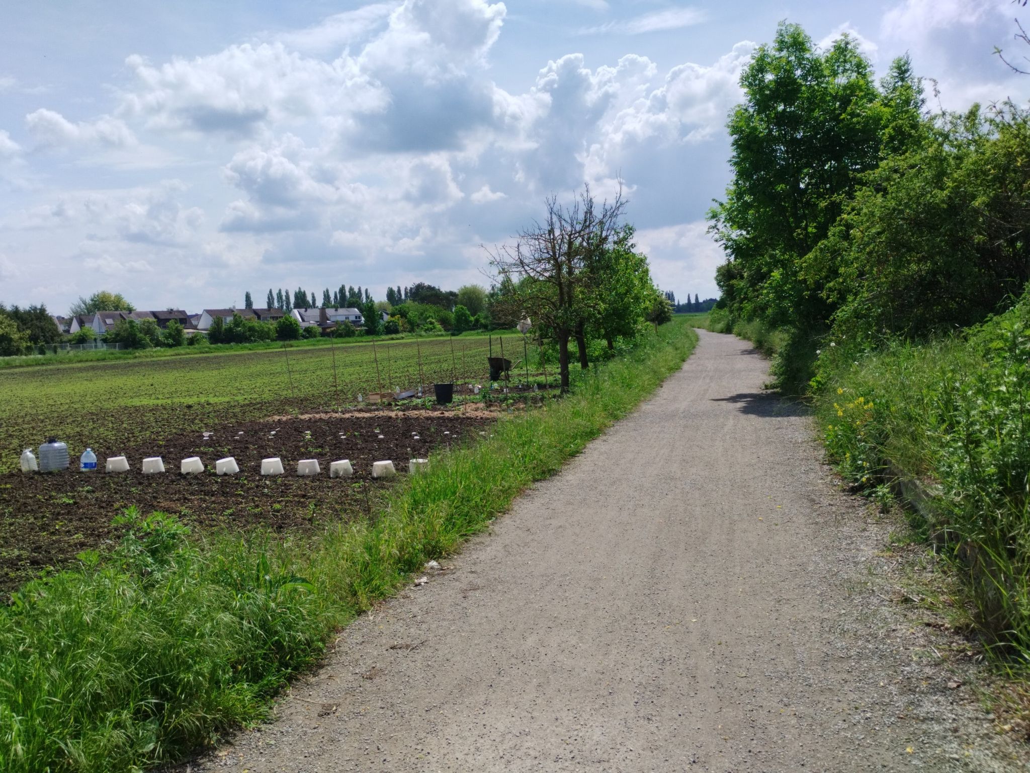 Bahntrasseradweg Halluin - Ferrain