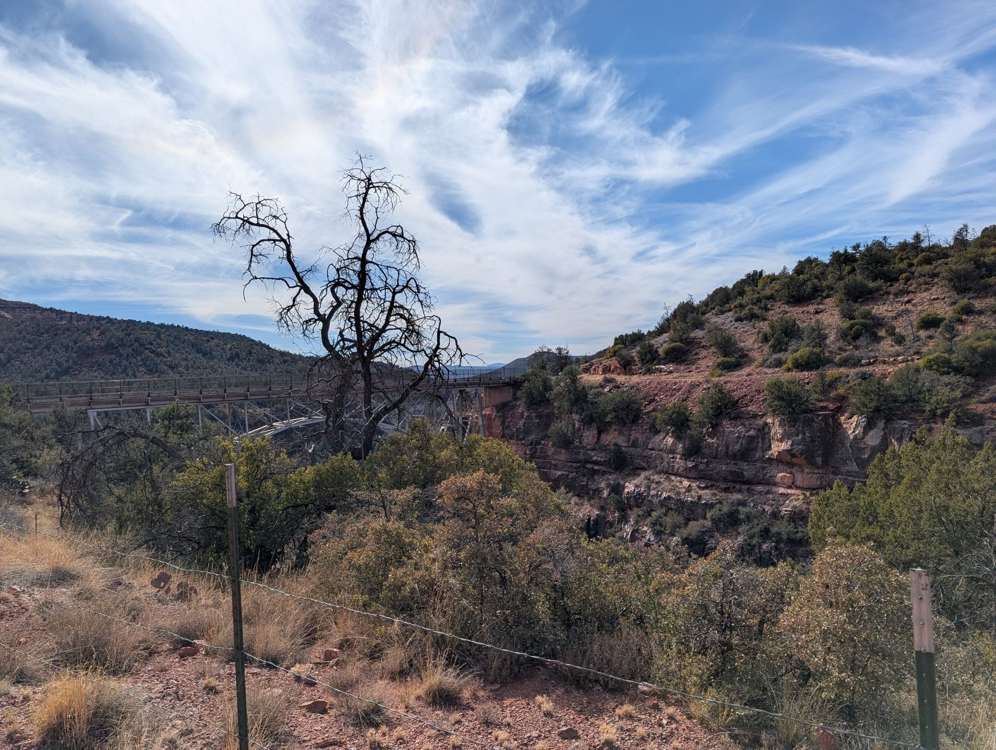 A dead tree in the foreground with a distant bridge over a canyon. - View of The Fin loop from Sedona