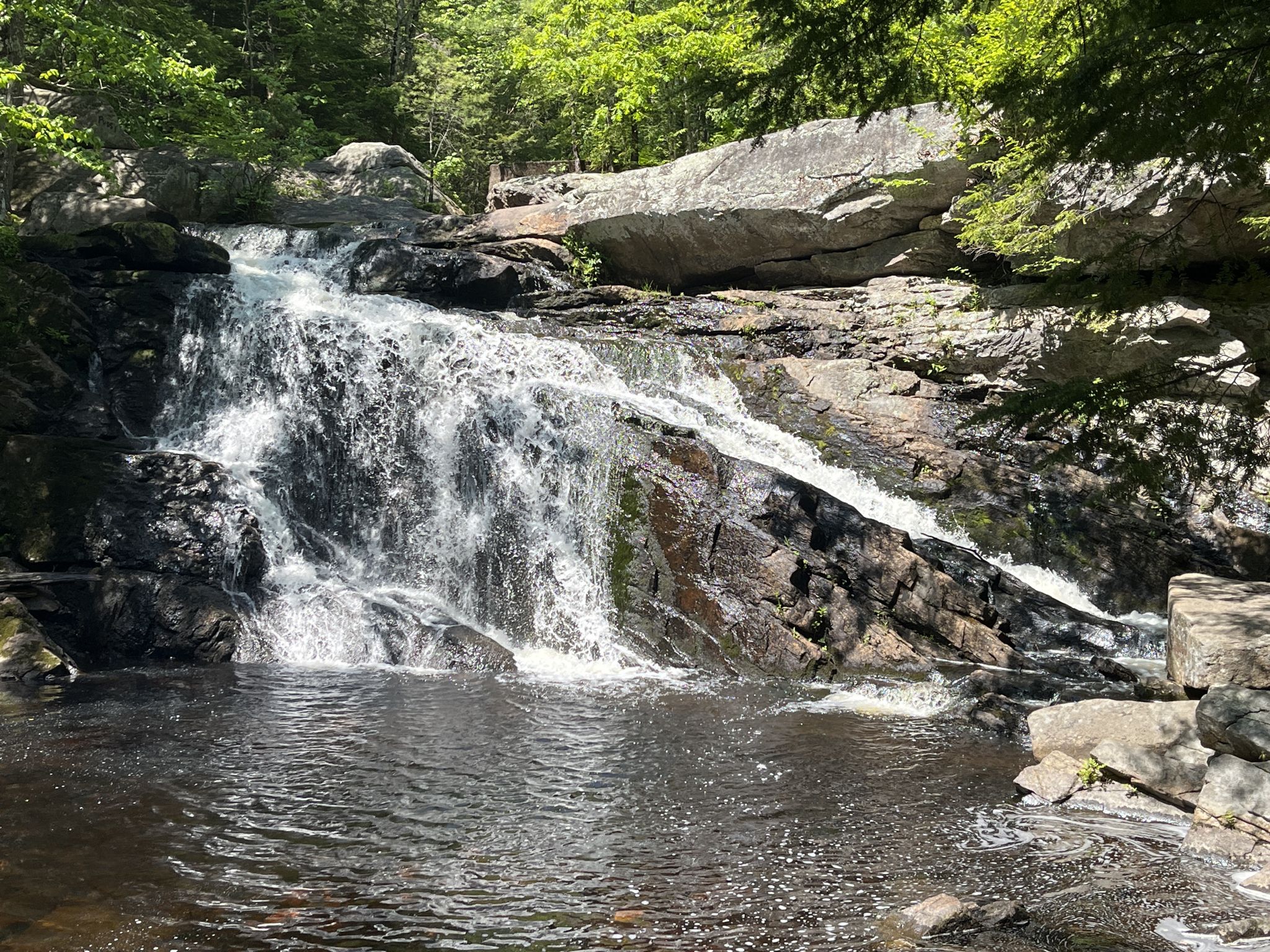 A sunlit waterfall cascades over dark rocks into a clear pool, surrounded by green trees. - Purgatory Brook Trail