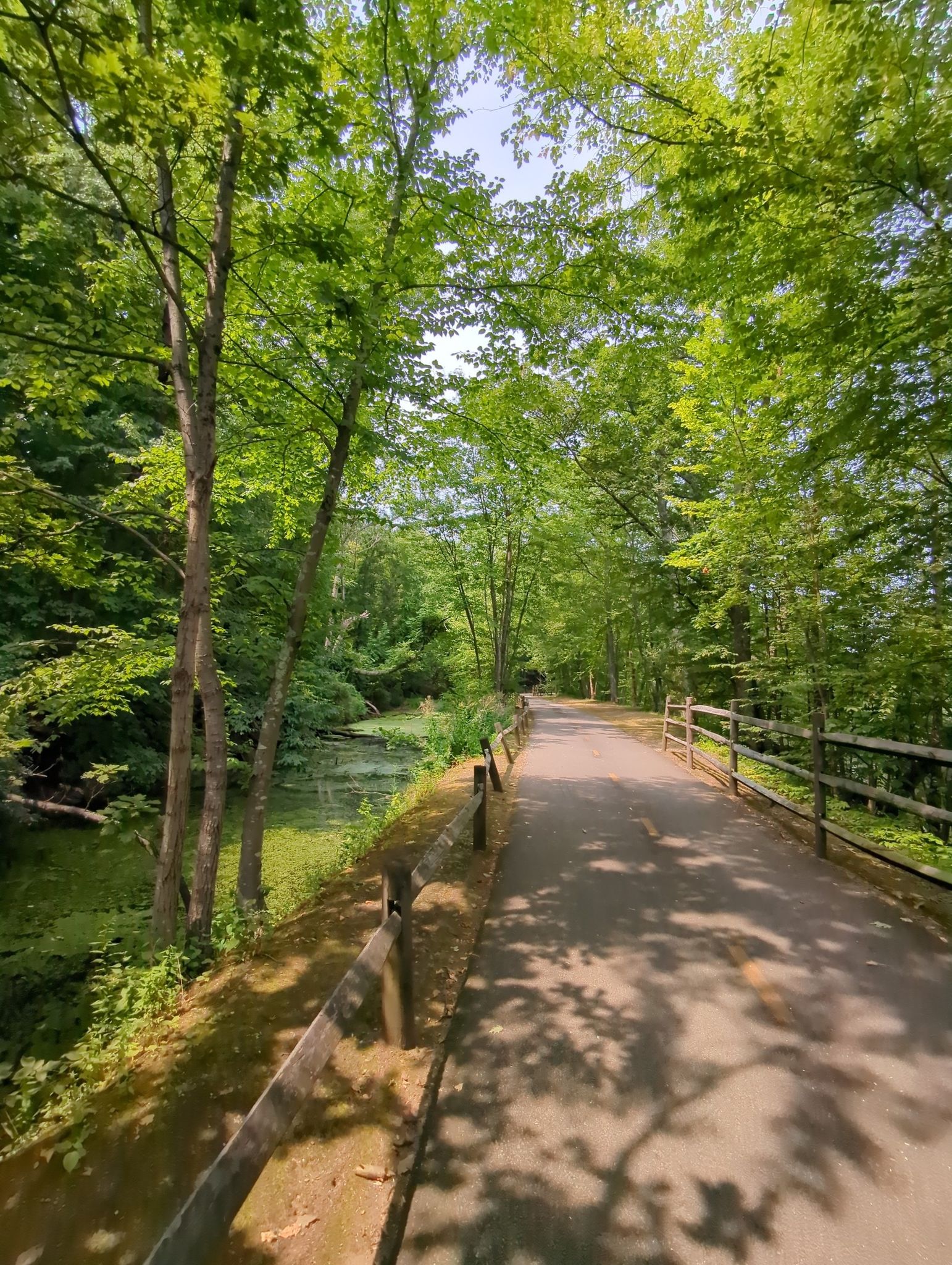 A sun-dappled paved path winds through a lush green forest. - Along the Blackstone River – Along the Blackstone River loop from Valley Falls
