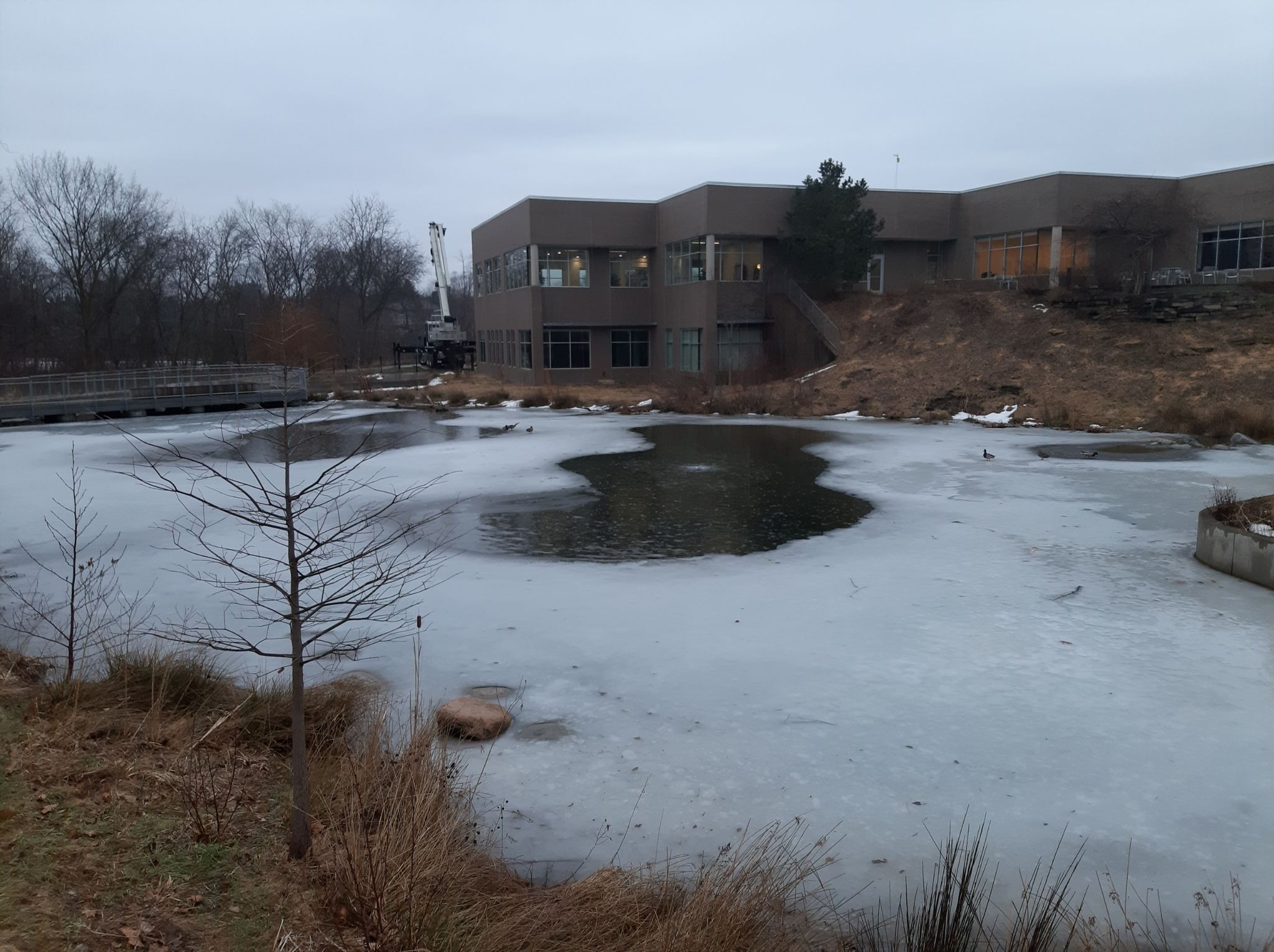 Partially frozen pond with a large building and bare trees under an overcast sky. - Meijer Gardens