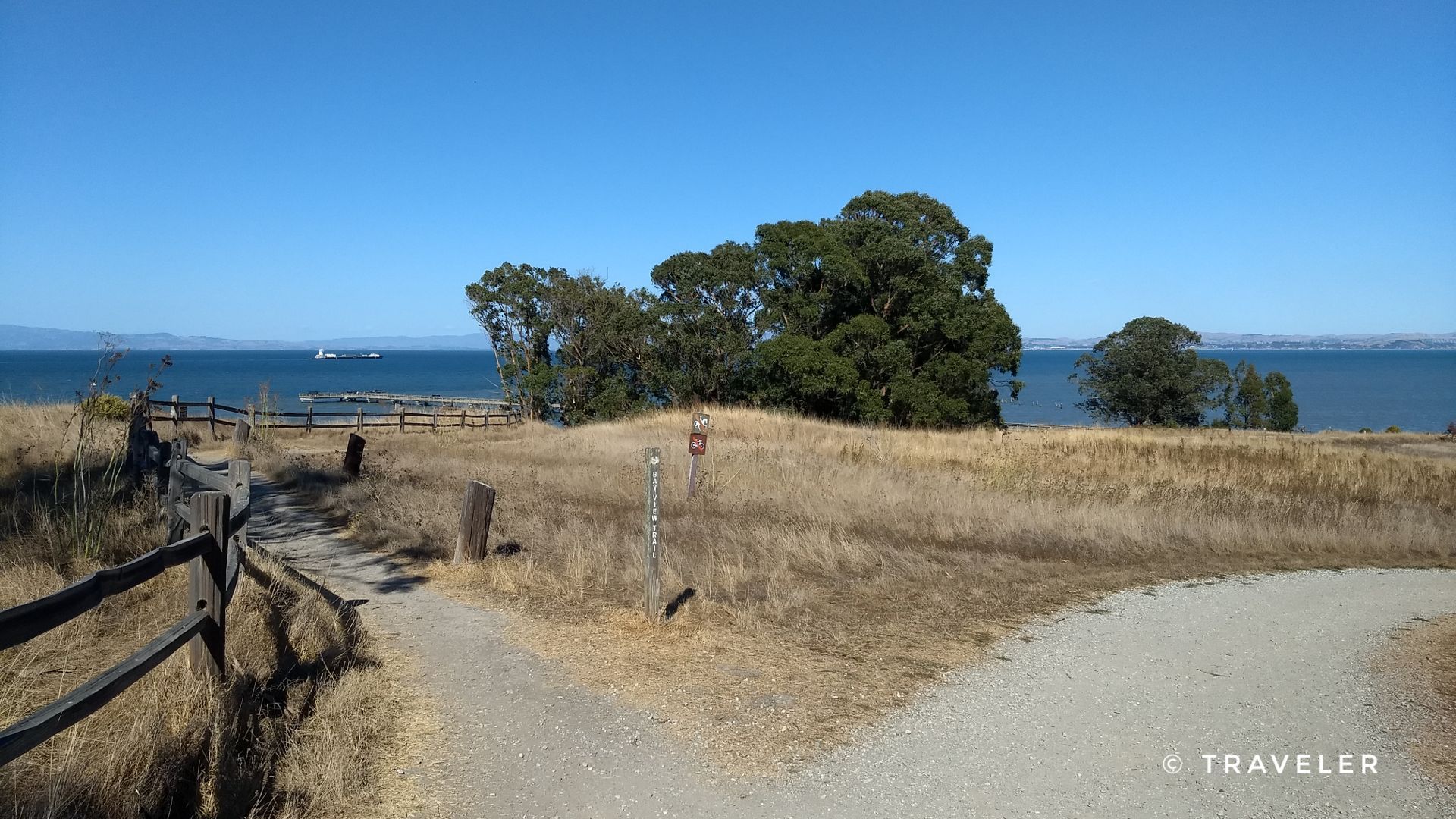 A fork in a dirt path through dry grass, leading to a bay. - San Francisco Bay Trail: Point Pinole Loop