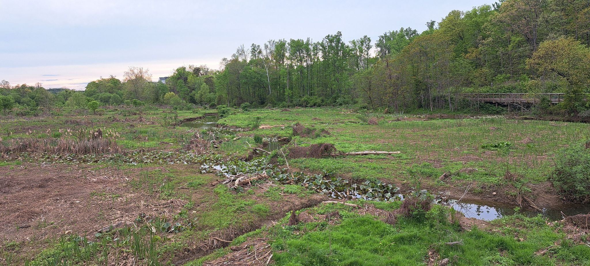 Overcast sky above a cleared field with a small stream and distant trees. - Neabsco Creek Boardwalk – Neabsco Creek Boardwalk loop from Leesylvania