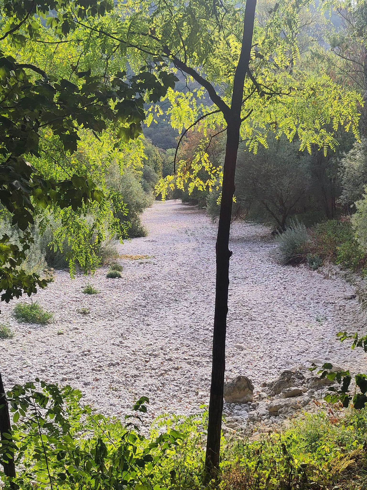 L'Albarine est sec, mais plus haut il y a de l'eau