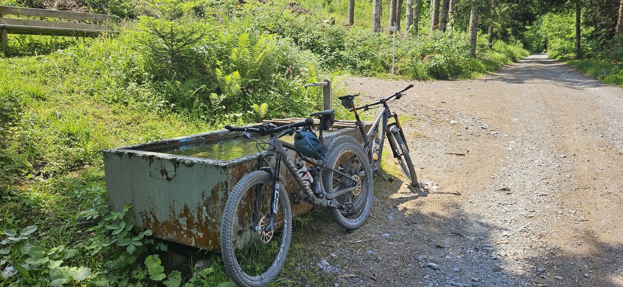 hängematten baumbefestigung Hängematte mit nur einem Baum aufhängen KID142 Farbe:Schwarzer Rahmen + braune Linse Mountain Bike Pedals Pedal
