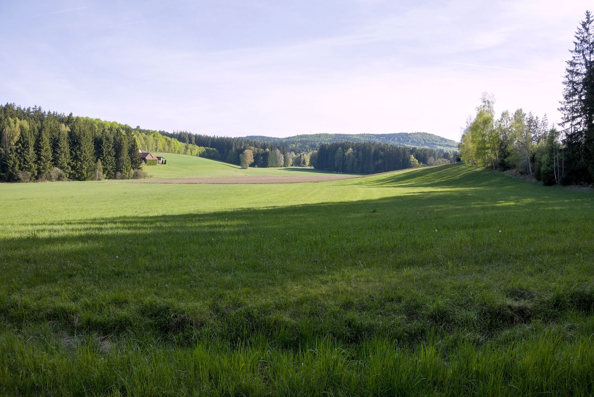 ... bei der Abfahrt durch den Oberpfälzer Wald