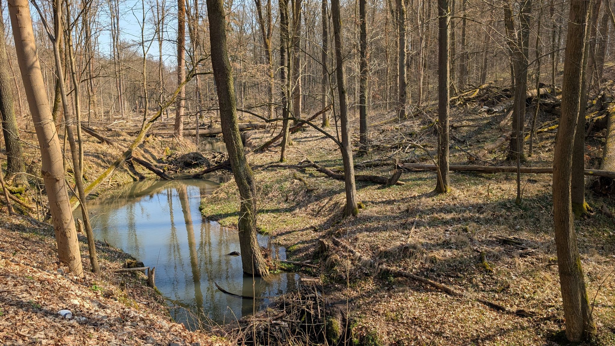 Am Tiergartenbach