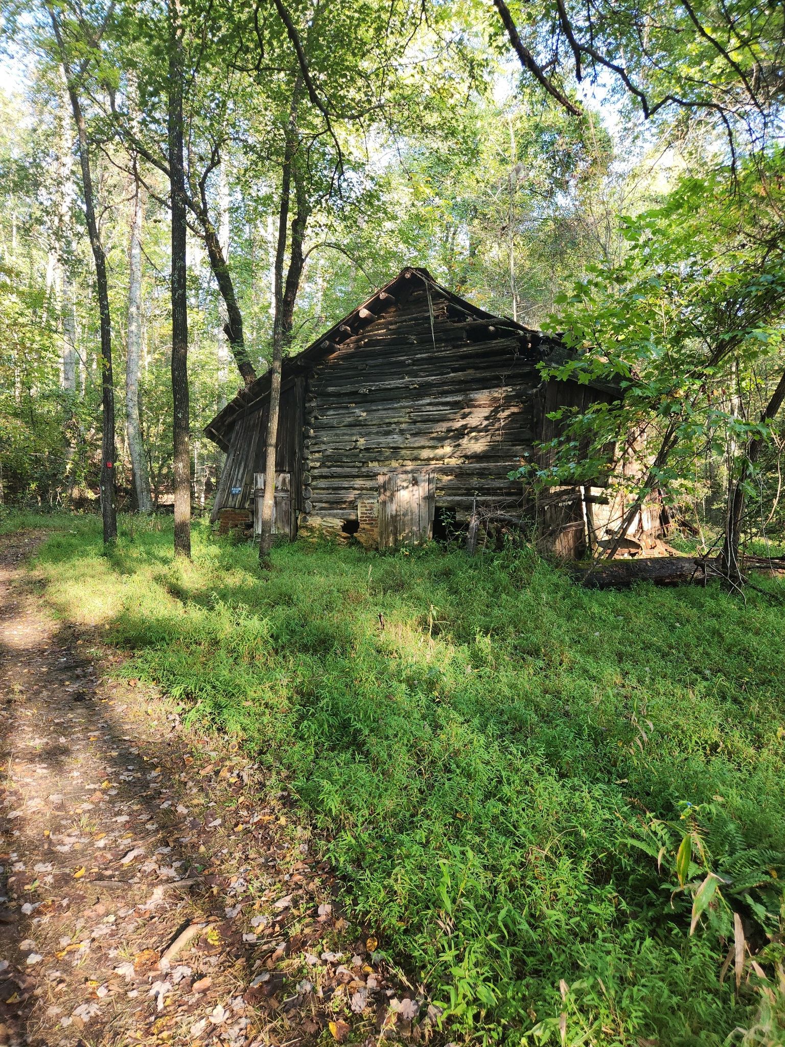 Rustic wooden cabin nestled in a sun-dappled forest with green undergrowth. - Indian Creek and Moore's Wall Loop Trail