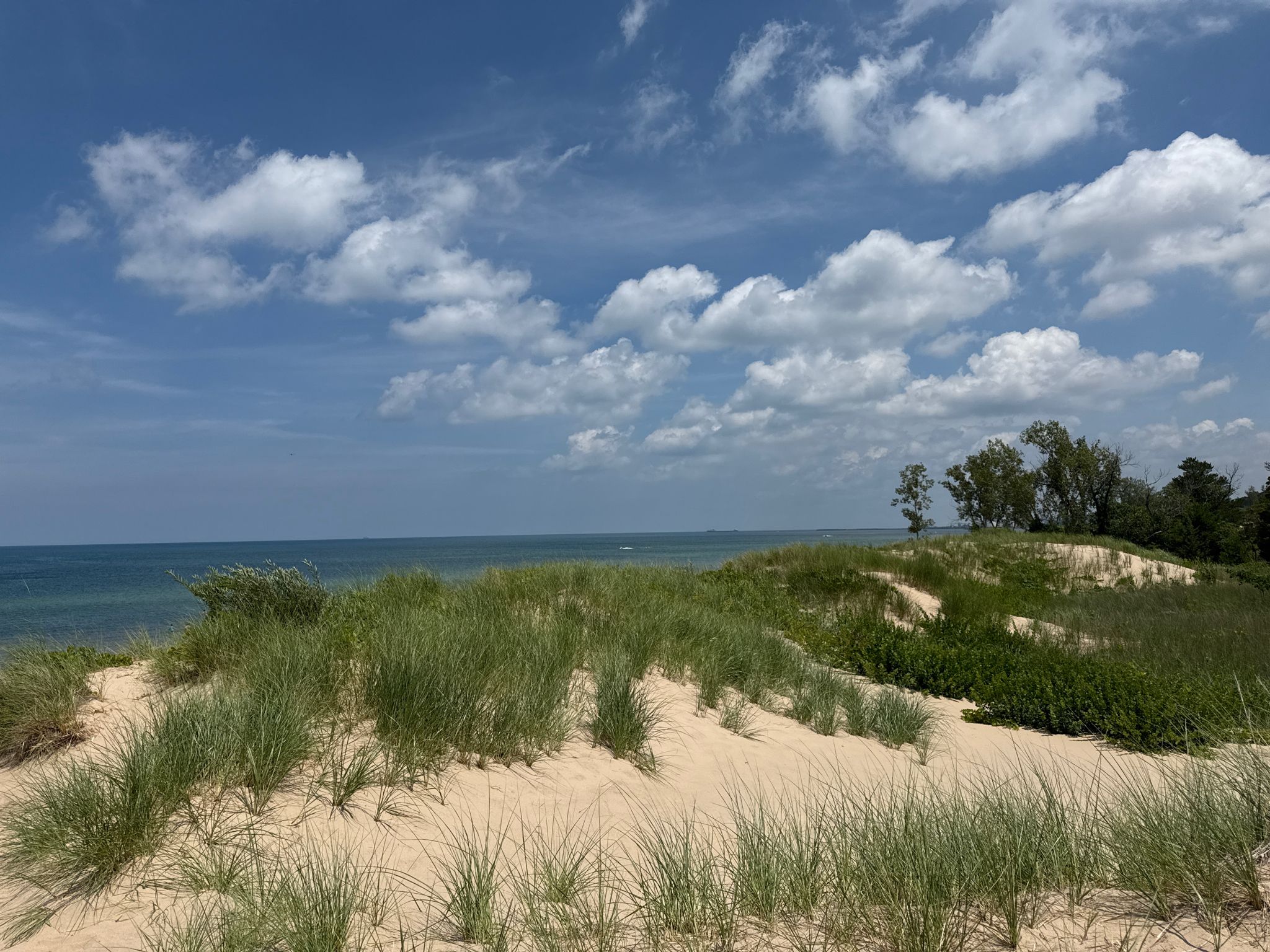 Sandy dunes with green grass, blue ocean, and cloudy sky. - West Beach 3-Loop Trail