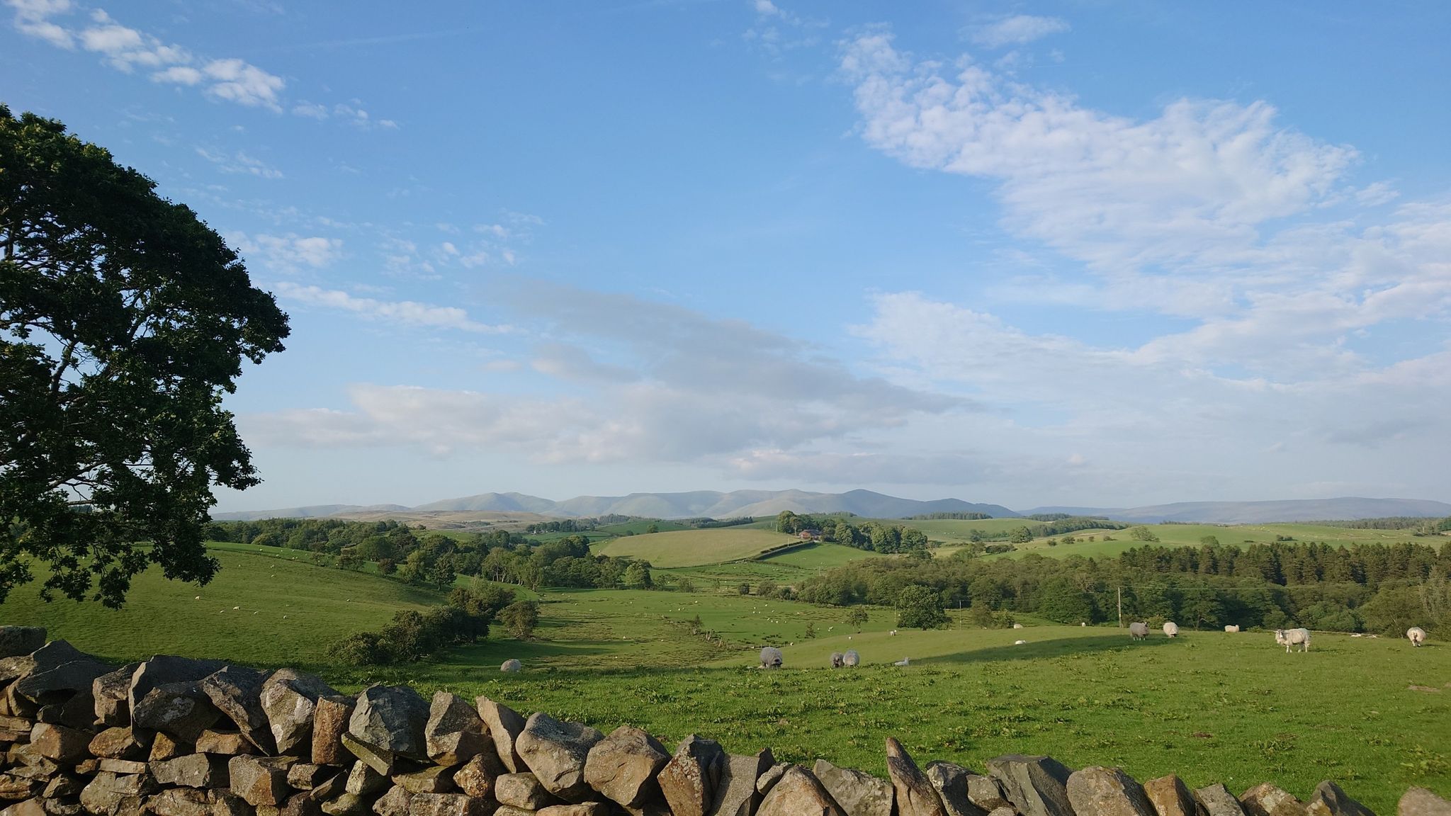 Howgills view ⛰️