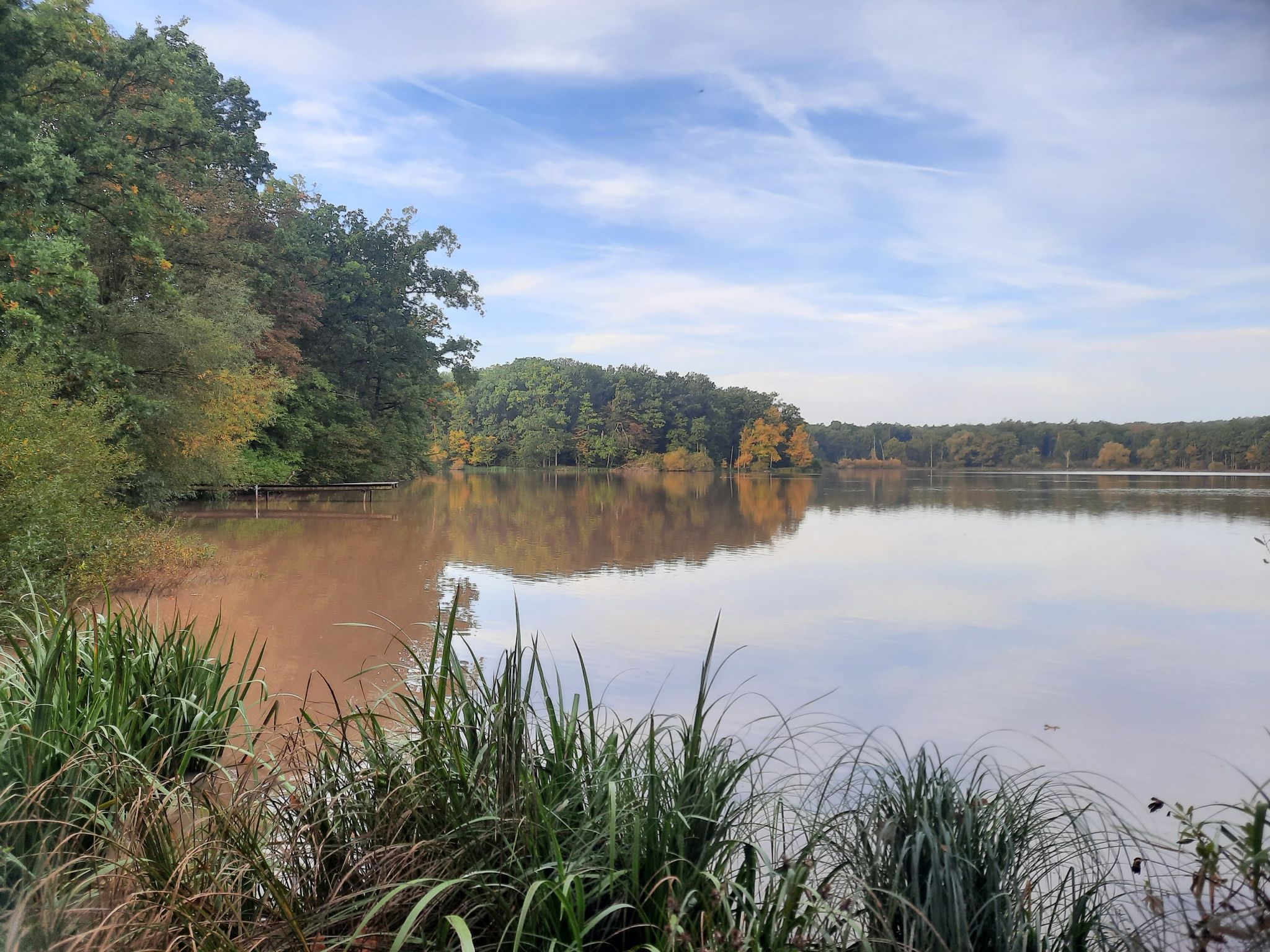 Reuthsee