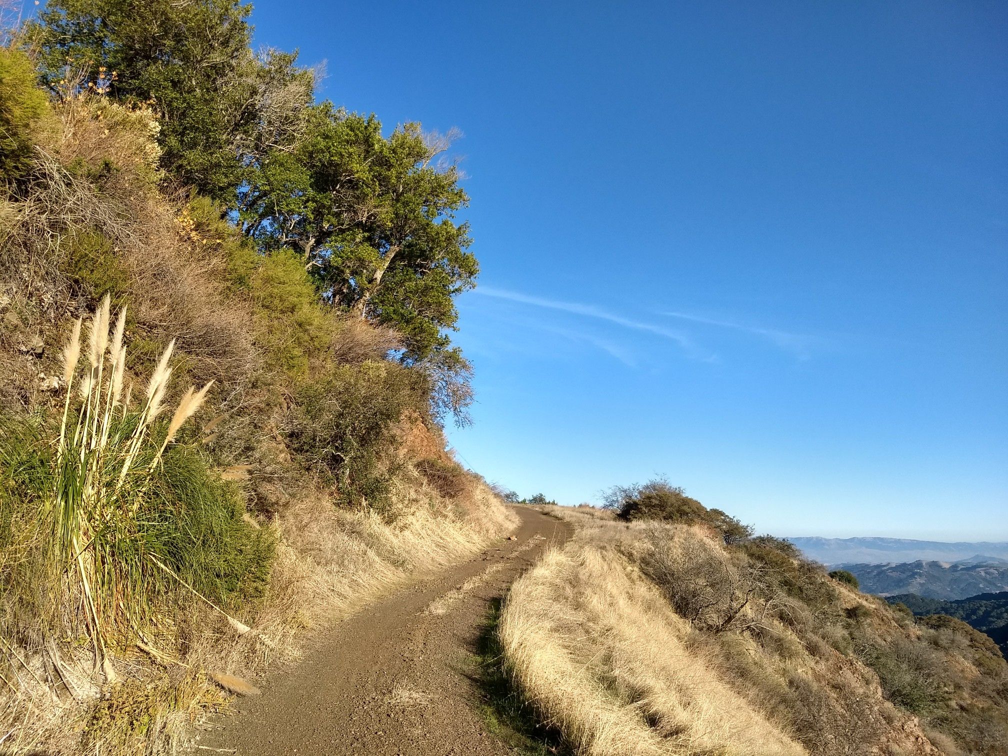 Dirt path winding up a sunny, grassy hillside with trees and blue sky. - Sierra Azul Open Space Preserve Loop