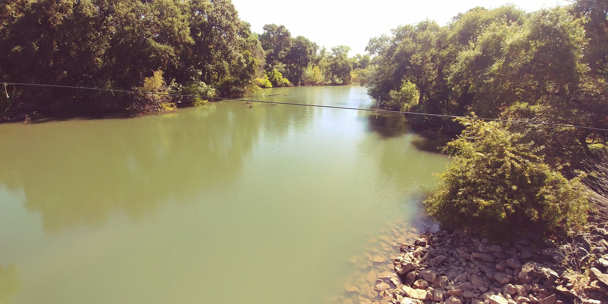 A wide, calm river flows through dense green trees on a sunny day. - Cosumnes River Preserve & Blossom Road loop