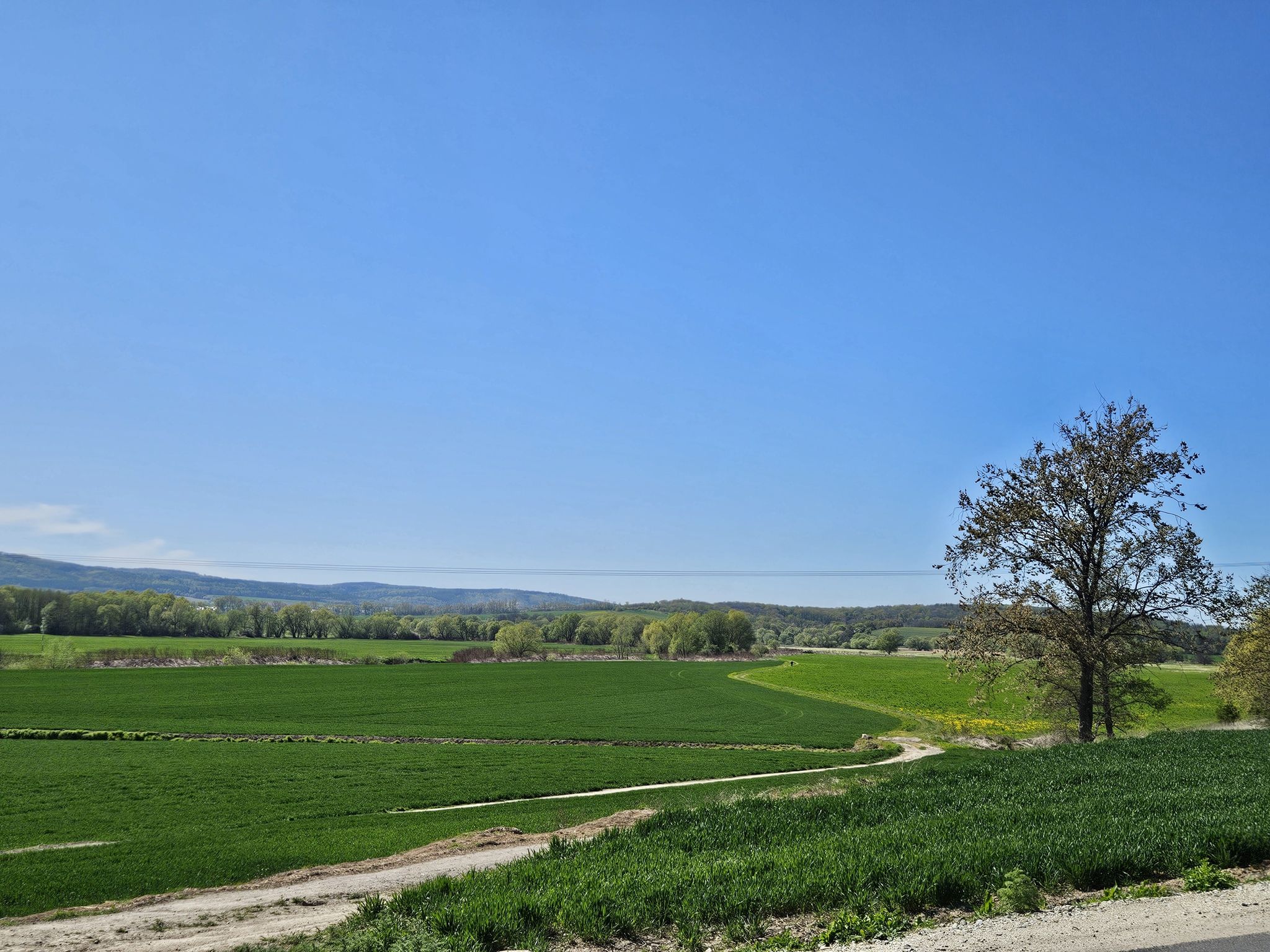 Blick auf die Sudeten