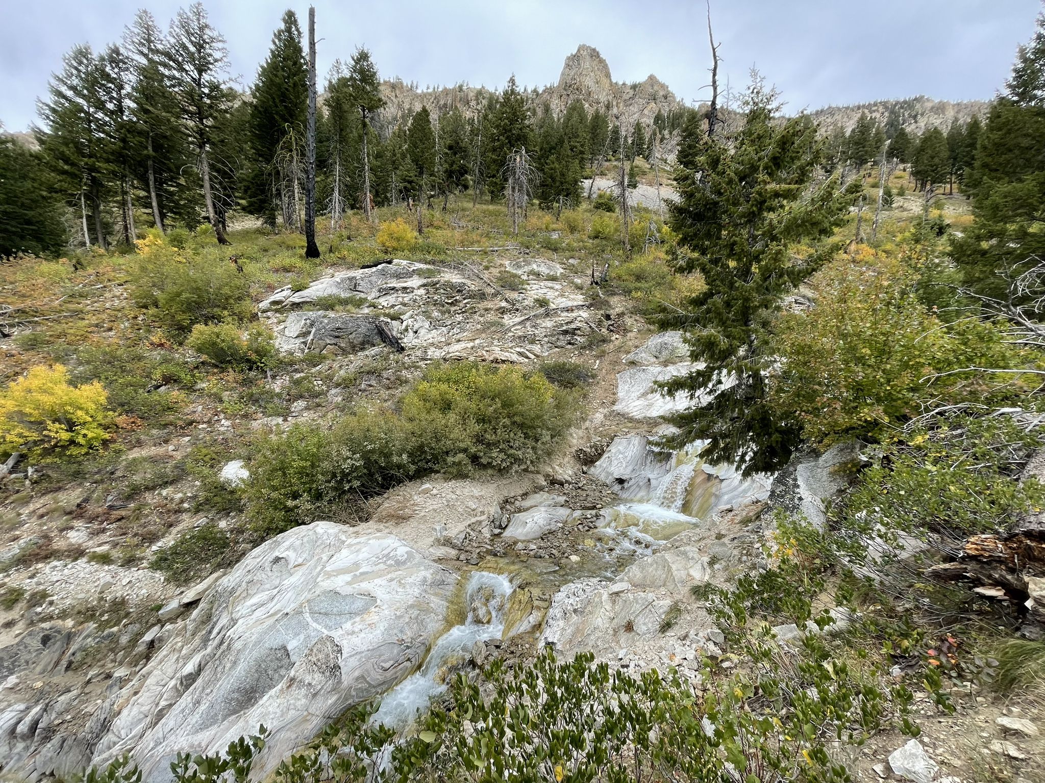 Rocky stream flows down a slope with scattered trees and a distant peak. - Trail Creek Trail