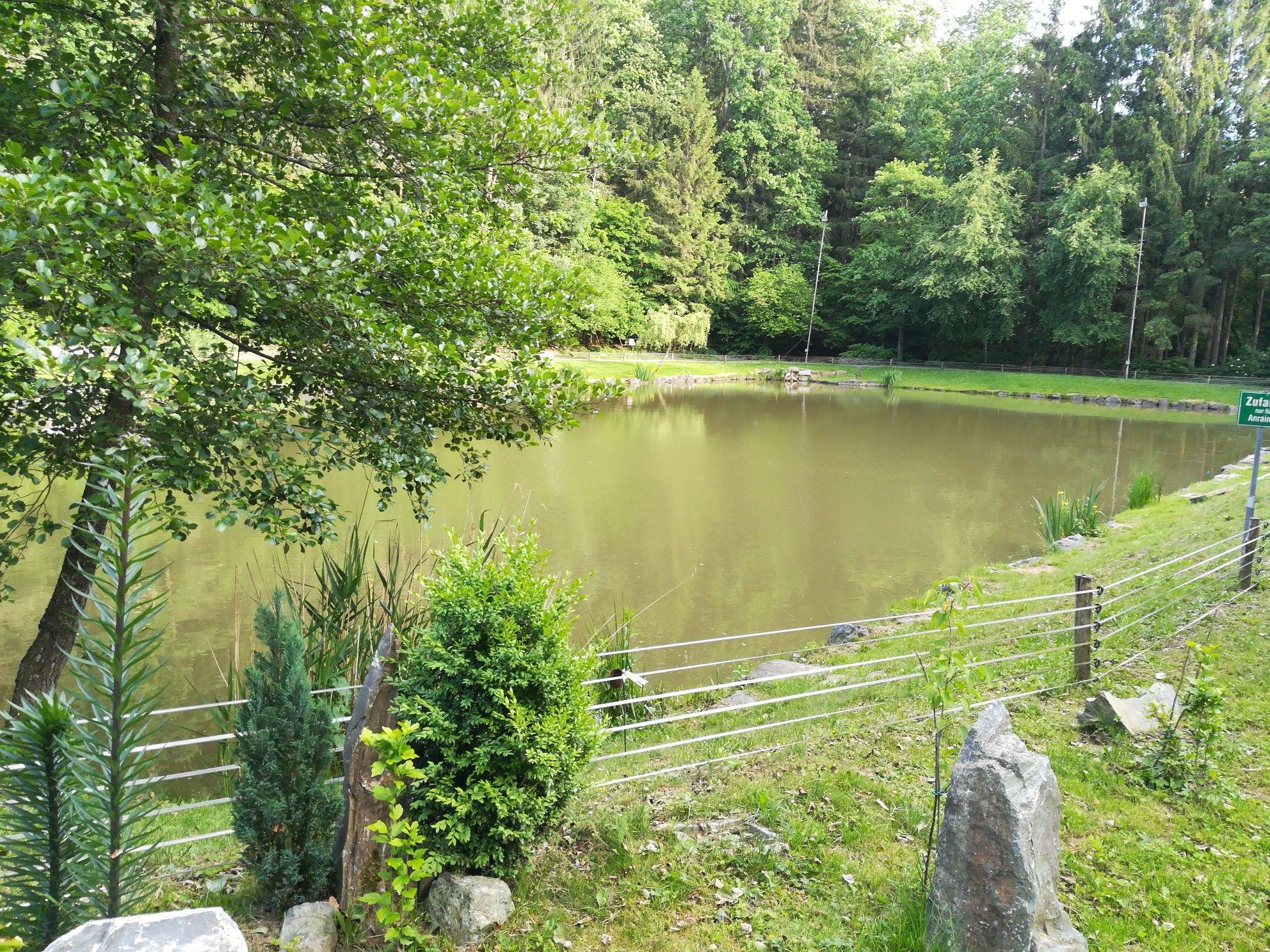 Fischteich