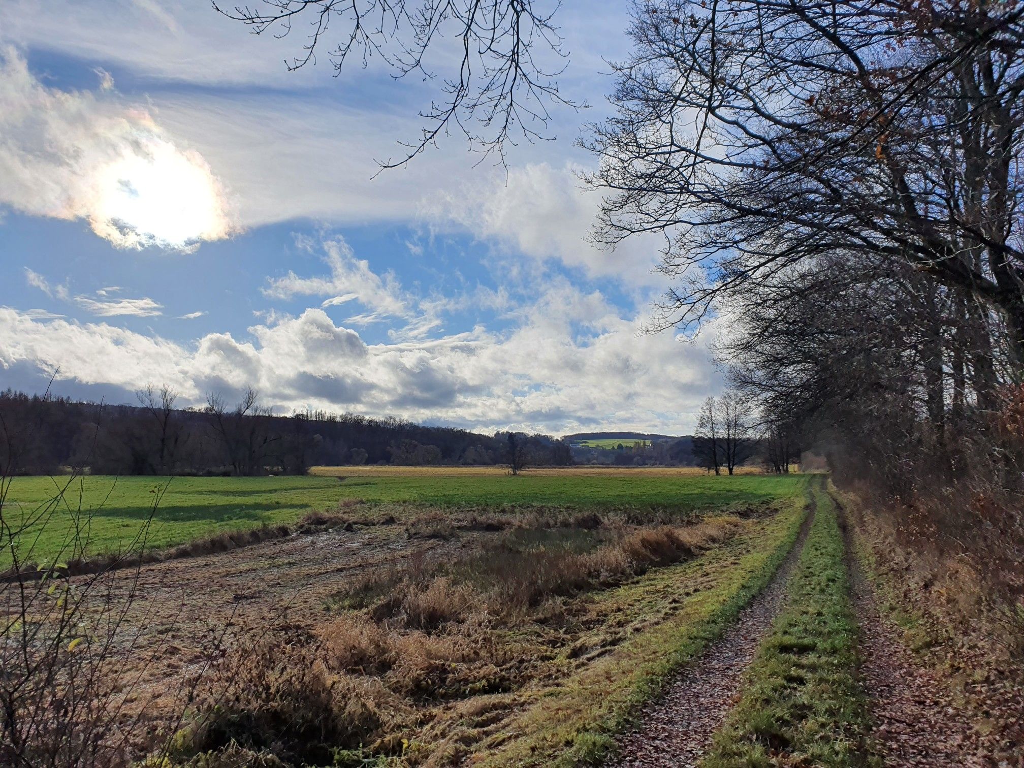 Wied bei Almersbach