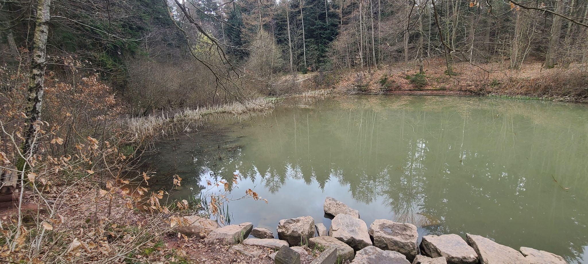Reihersee