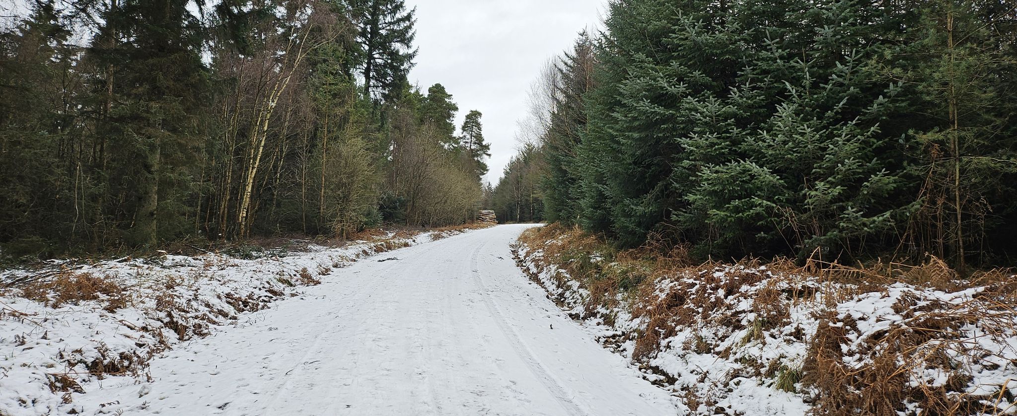 Long ascent up Sutherland Road