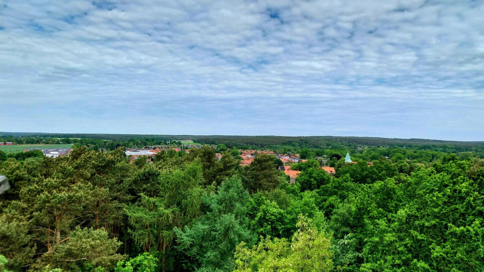 Salzhausen von oben