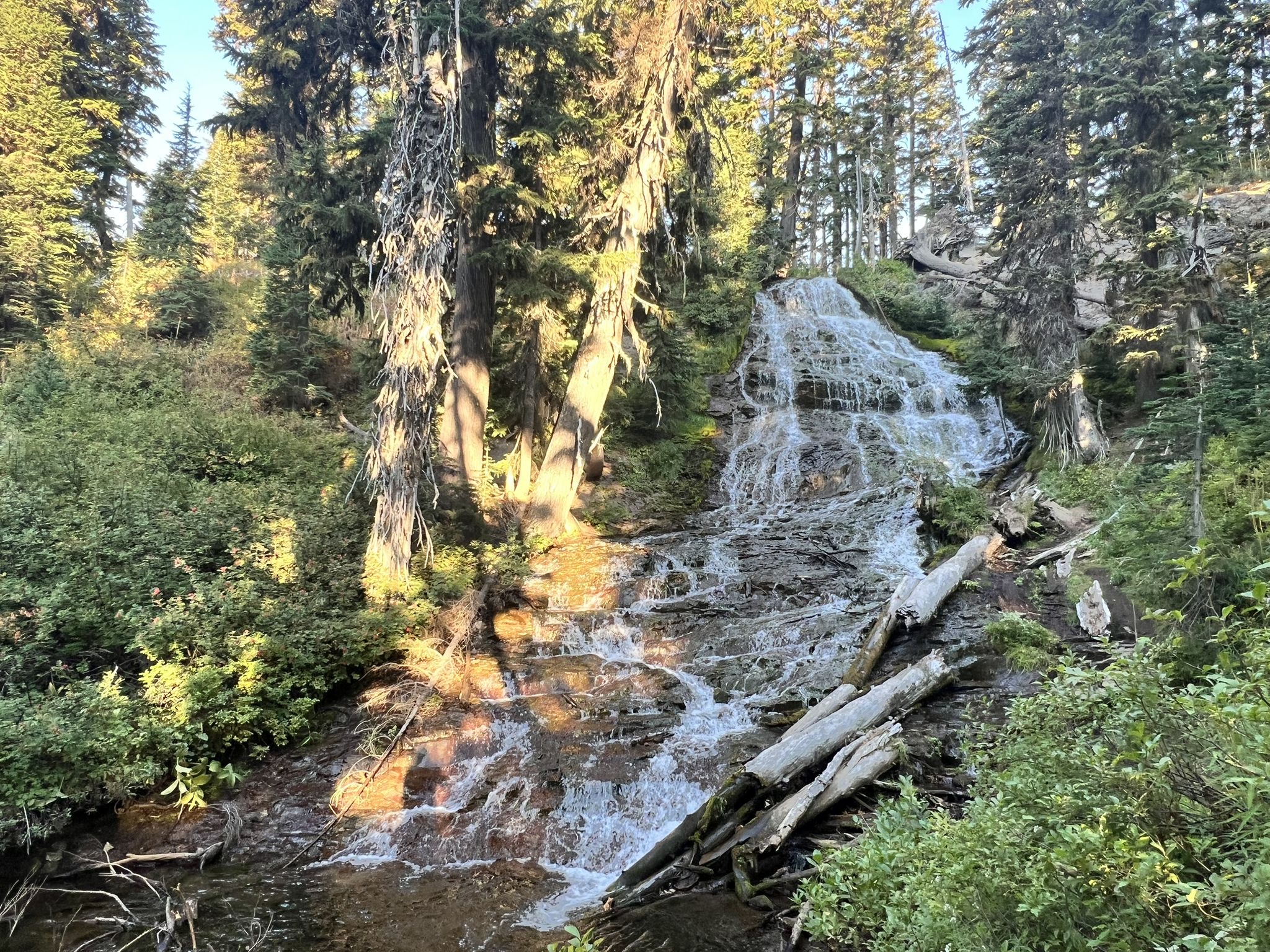A waterfall flows over rocks and fallen logs, surrounded by sunlit trees. - Umbrella Falls Trail to Picnic Rock