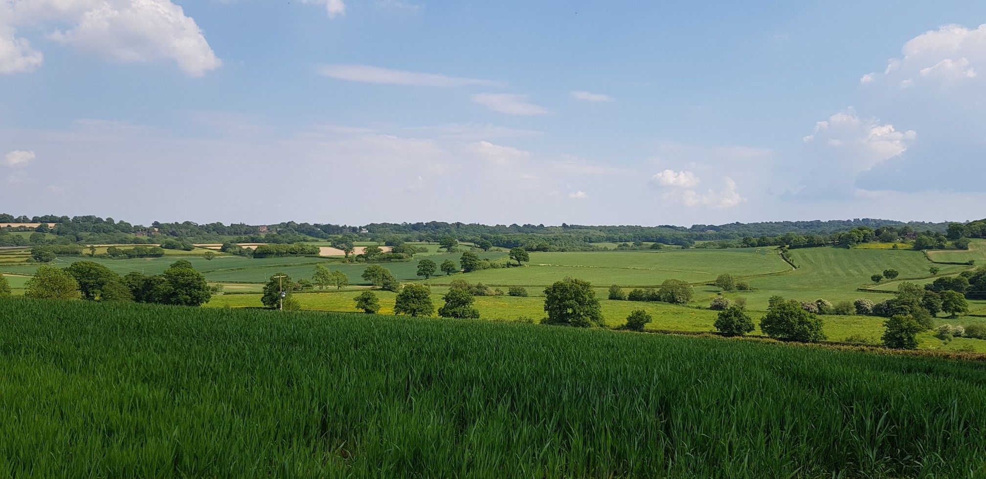 LOVELY VIEWS