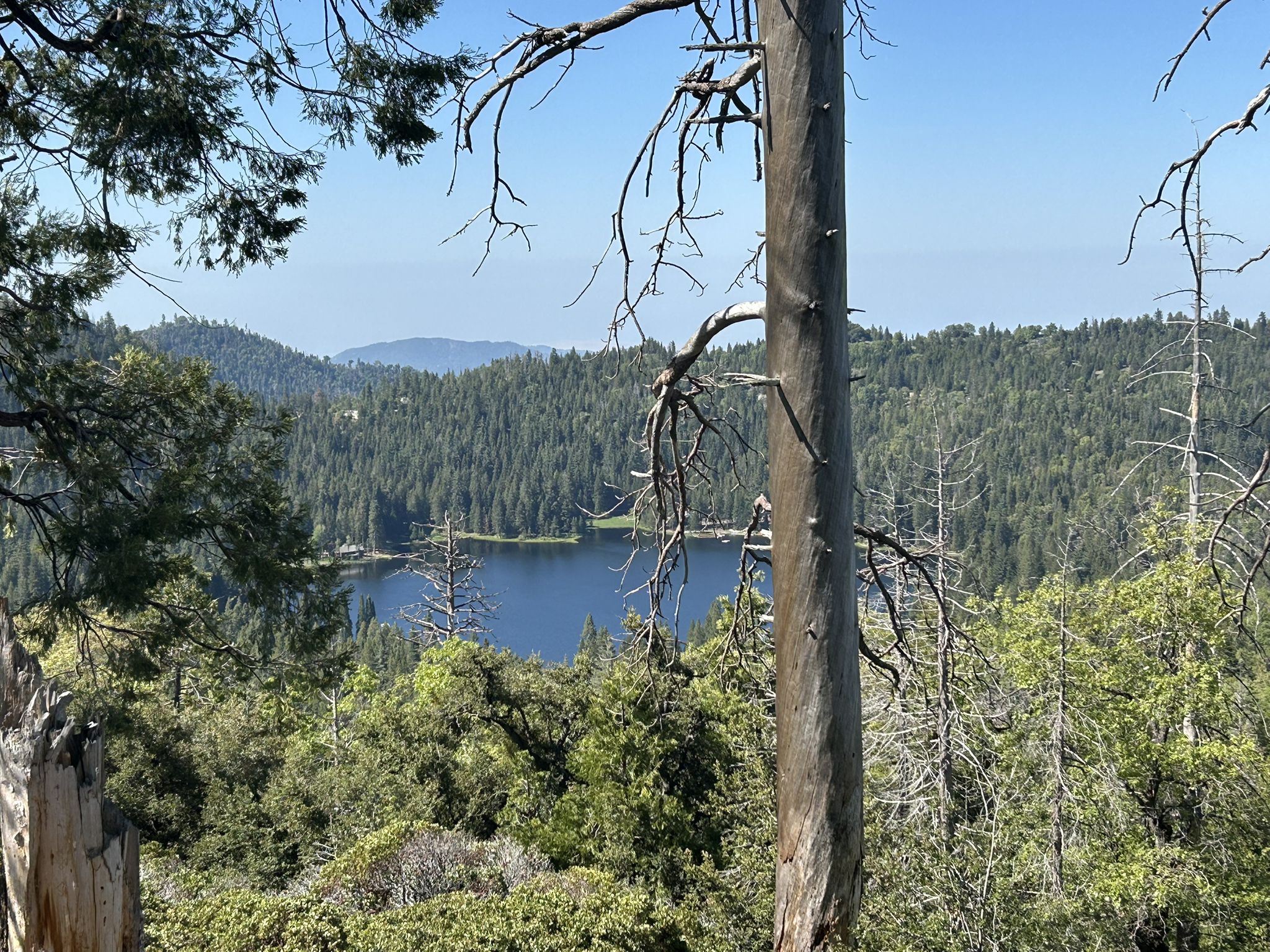 Lake surrounded by dense green forest under a clear sky. - Sunset Trail Loop