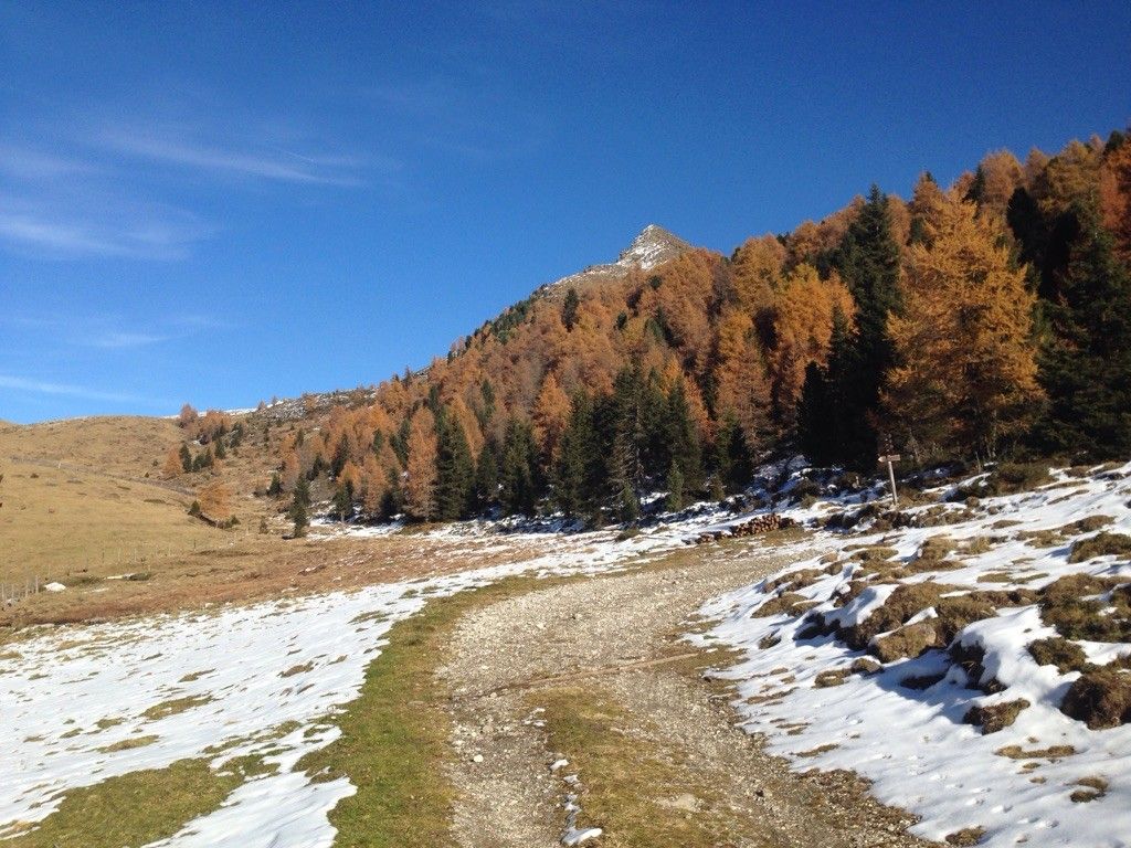 Taister Alm 1950m