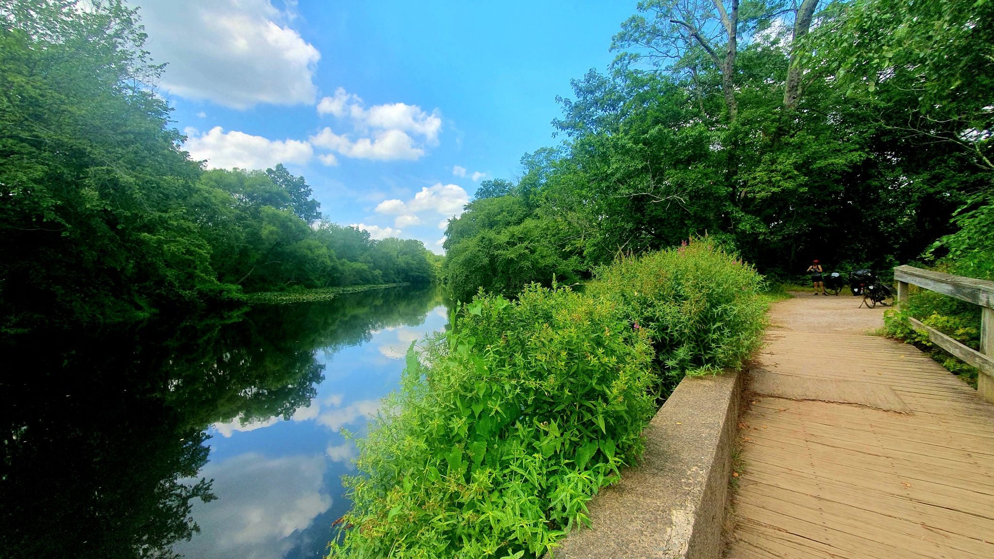 Lush green trees line a calm river with a wooden boardwalk under blue sky. - Delaware and Raritan Canal Trail Loop