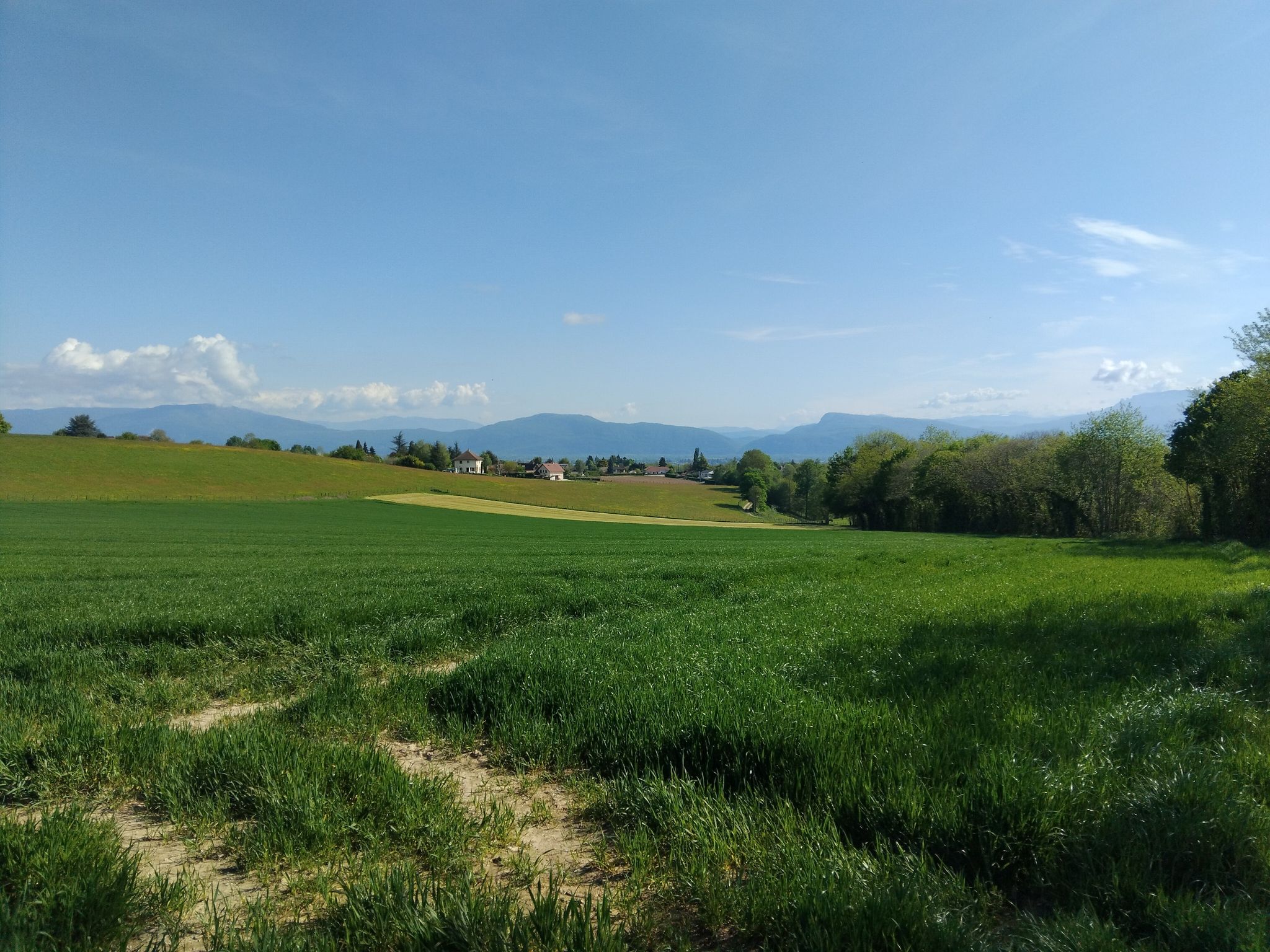 vue sur les hauteurs de Dolomieu 