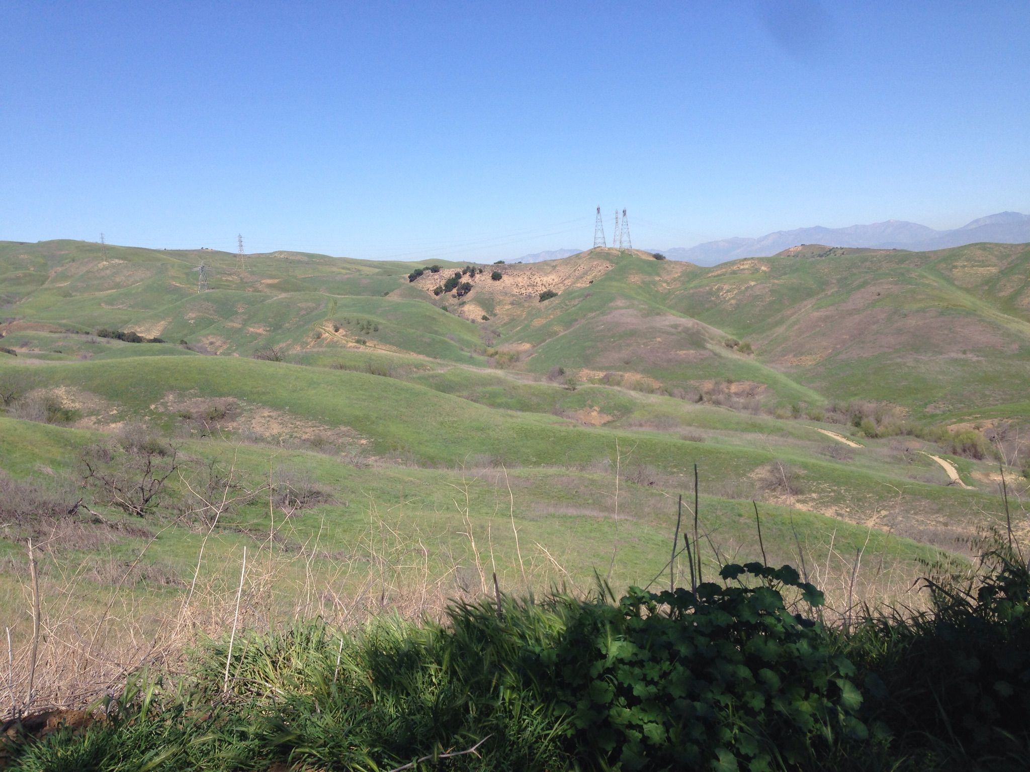 Sunny view of rolling green hills with power lines under a blue sky. - Lower Aliso Canyon Trail – Lower Aliso Canyon Trail loop from Amphitheater