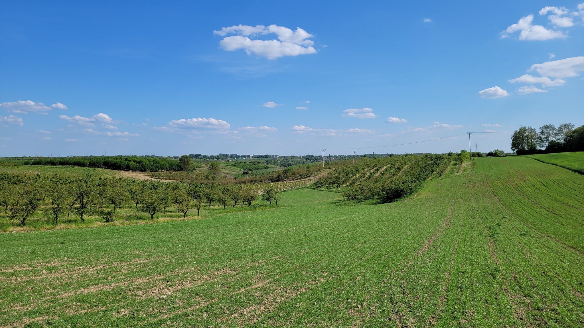ciekawy widok na Sandomierz