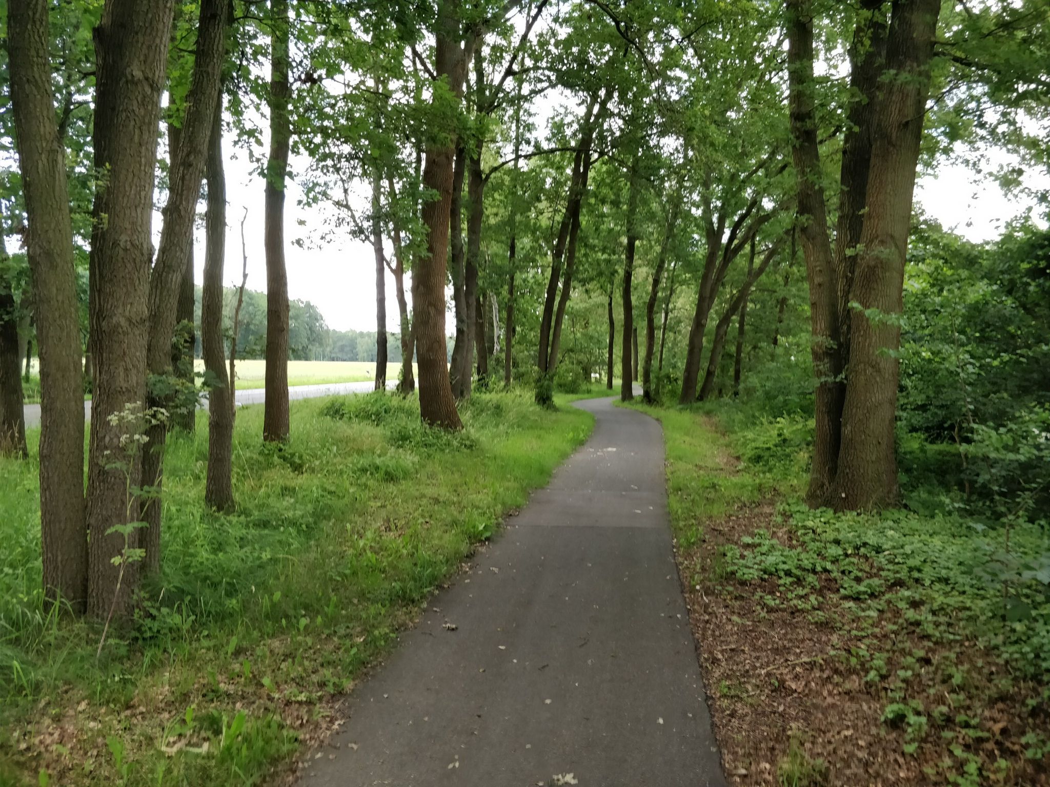 Gut geteerter Weg an der Landstraße entlang