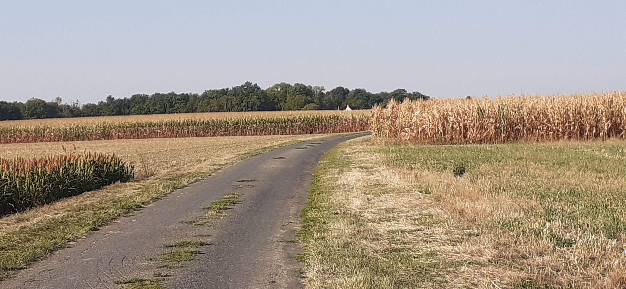 Où sont les automobiles ?