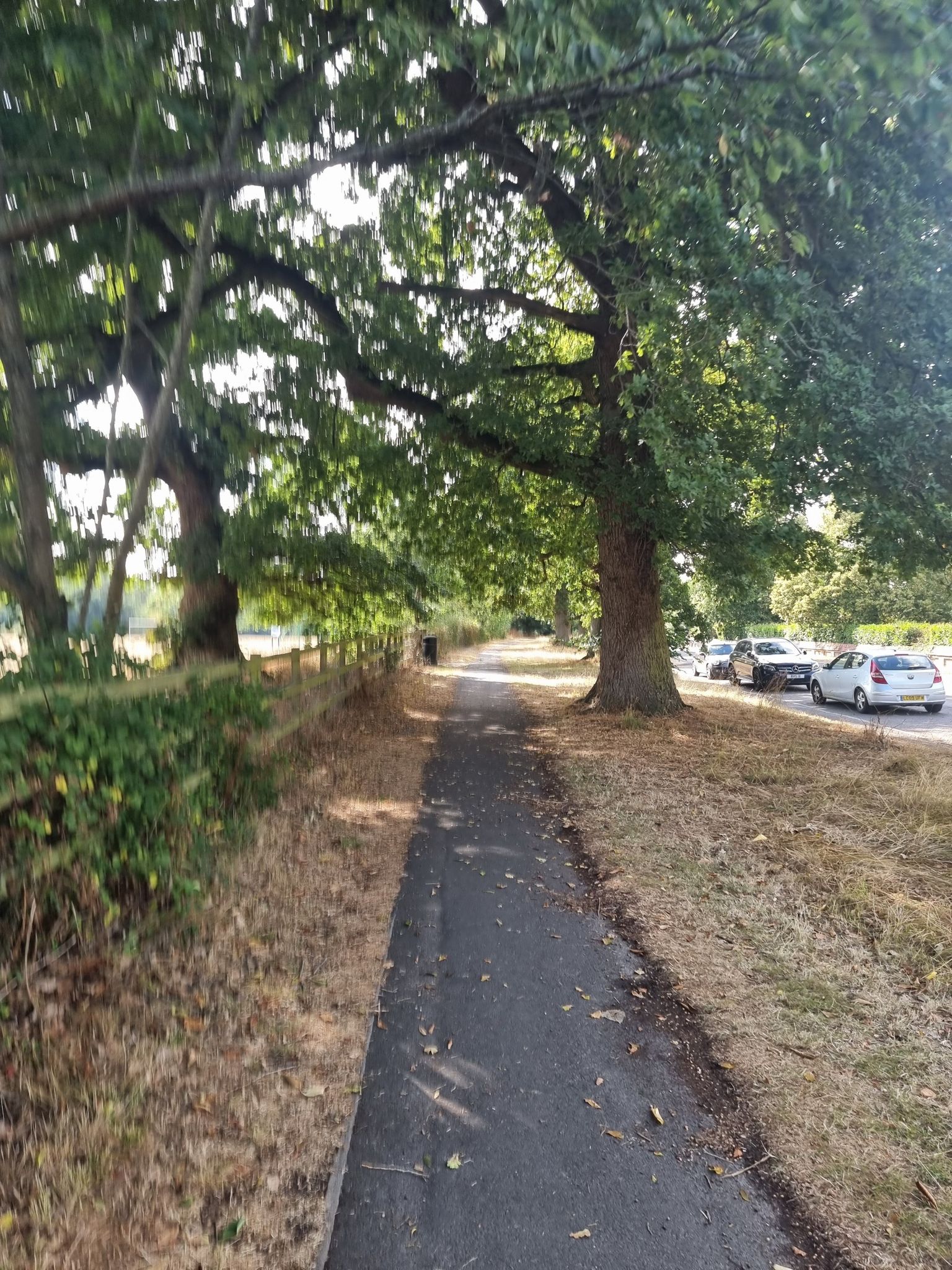 Botley road opposite Romsey cemetery