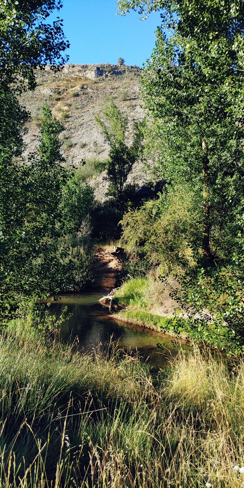 Jetzt wieder nahe am Fluss
