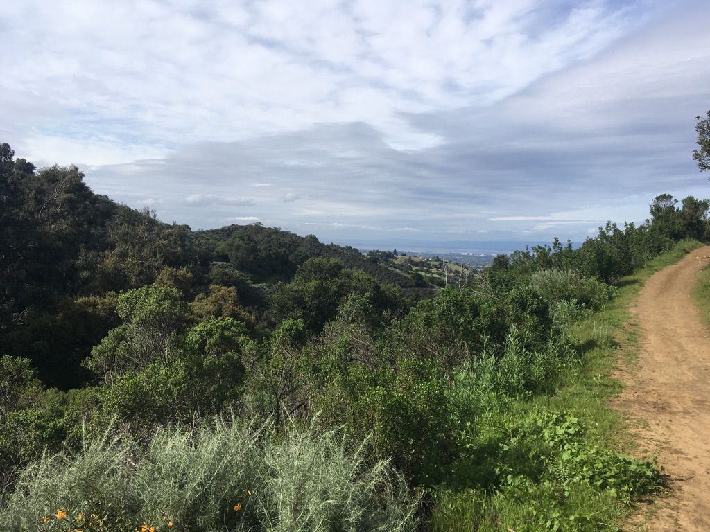 Dirt path winding through green hills under an overcast sky, distant city visible. - Stevens Creek Reservoir – View from Maisie's Peak loop from Rancho San Antonio County Park
