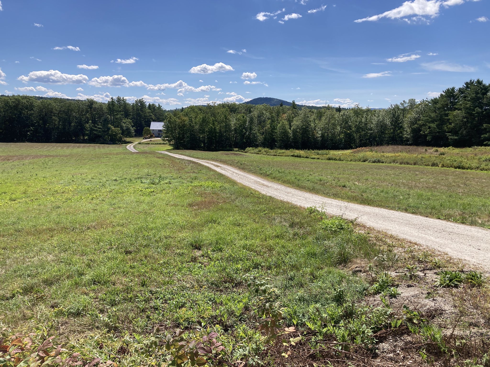 A dirt road winds through a sunny green field towards a distant building. - Evans Notch Overlook – Top of Evan's Notch loop from Williamson Family Tree Farm Conservation Easement