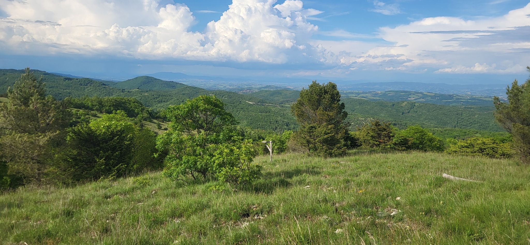 San Venanzo