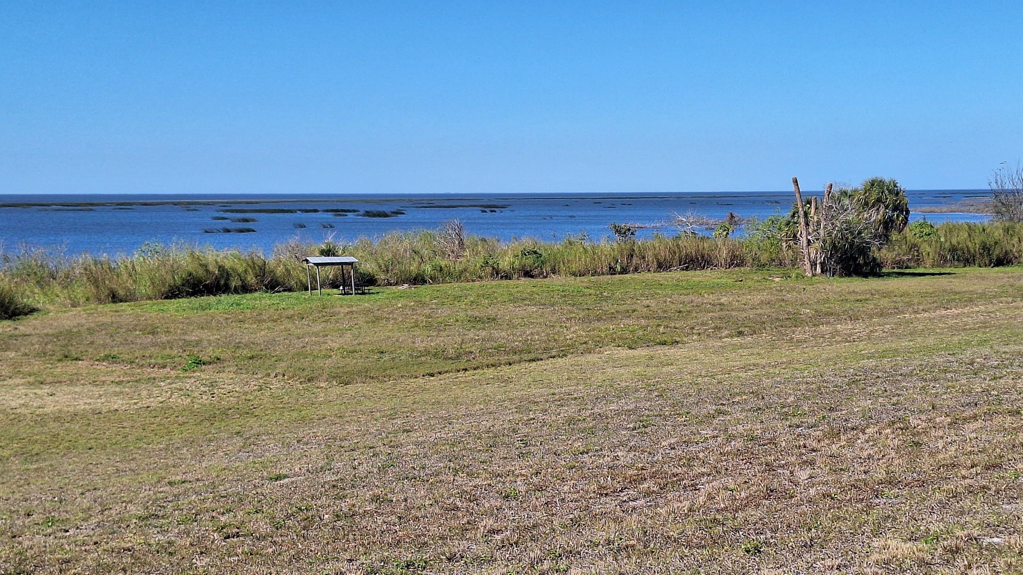 Grassy field leading to a wide body of water under a clear blue sky. - Lake Okeechobee Scenic Trail